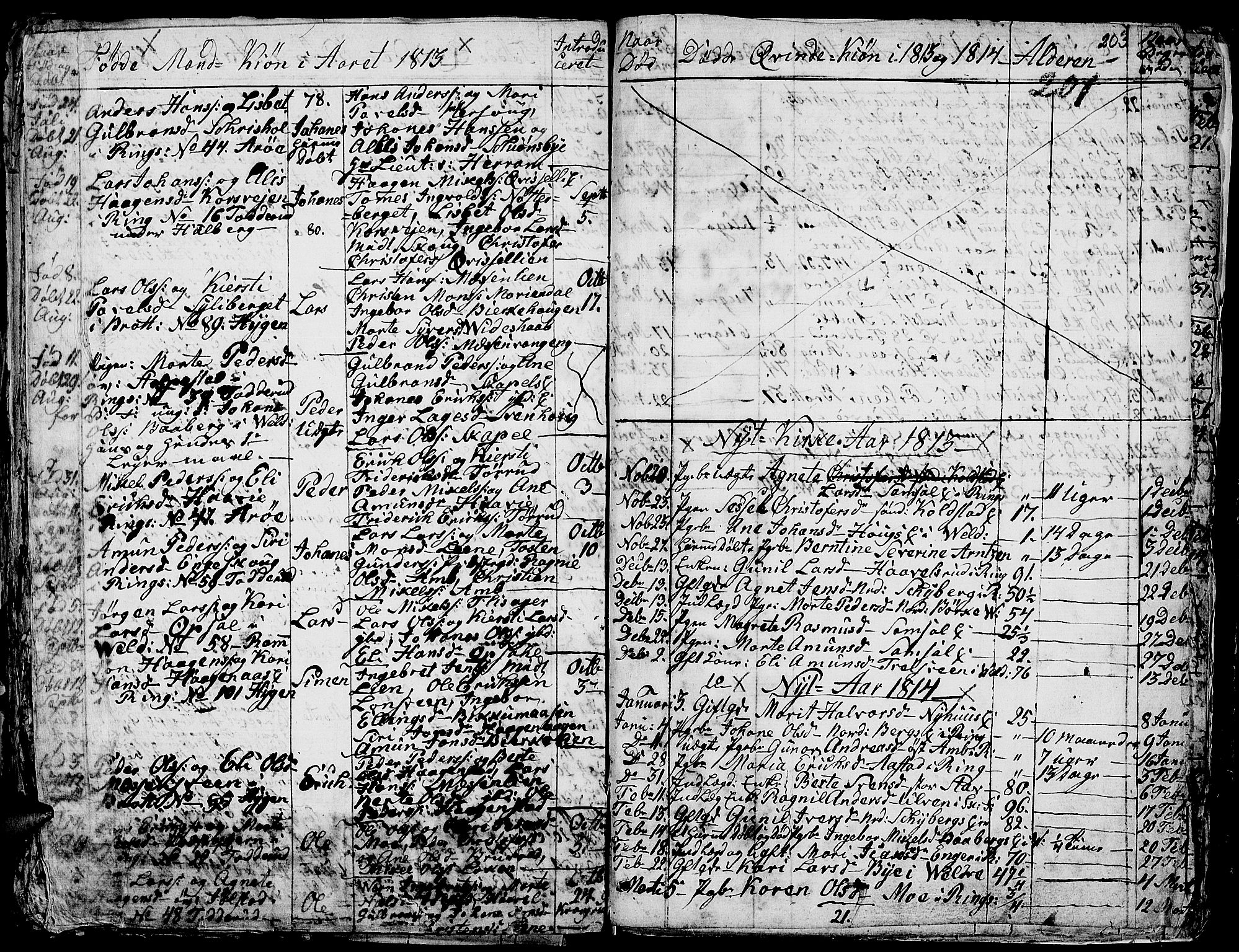 Ringsaker prestekontor, AV/SAH-PREST-014/K/Ka/L0004: Parish register (official) no. 4, 1799-1814, p. 203