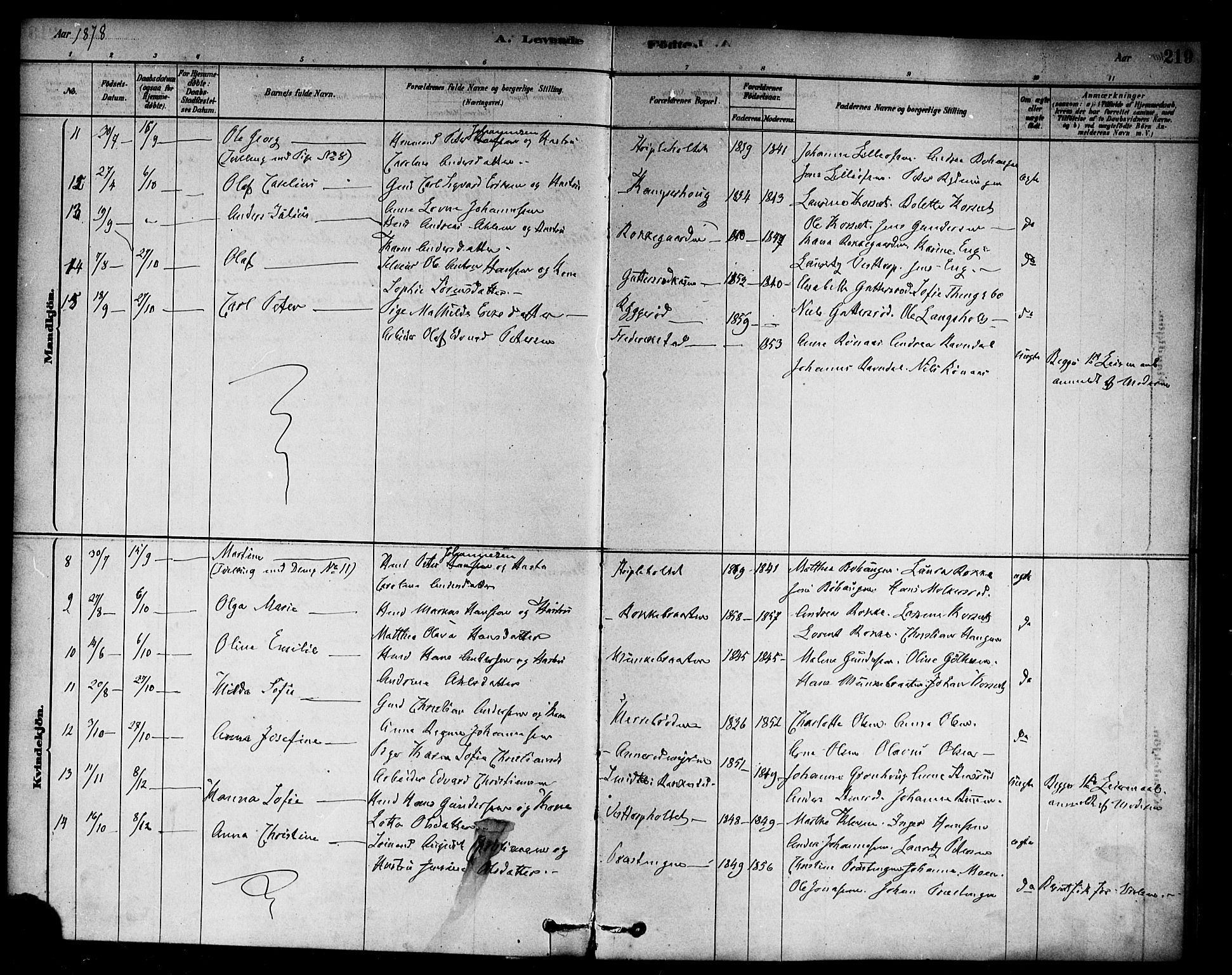 Berg prestekontor Kirkebøker, SAO/A-10902/F/Fc/L0001: Parish register (official) no. III 1, 1878-1887, p. 219