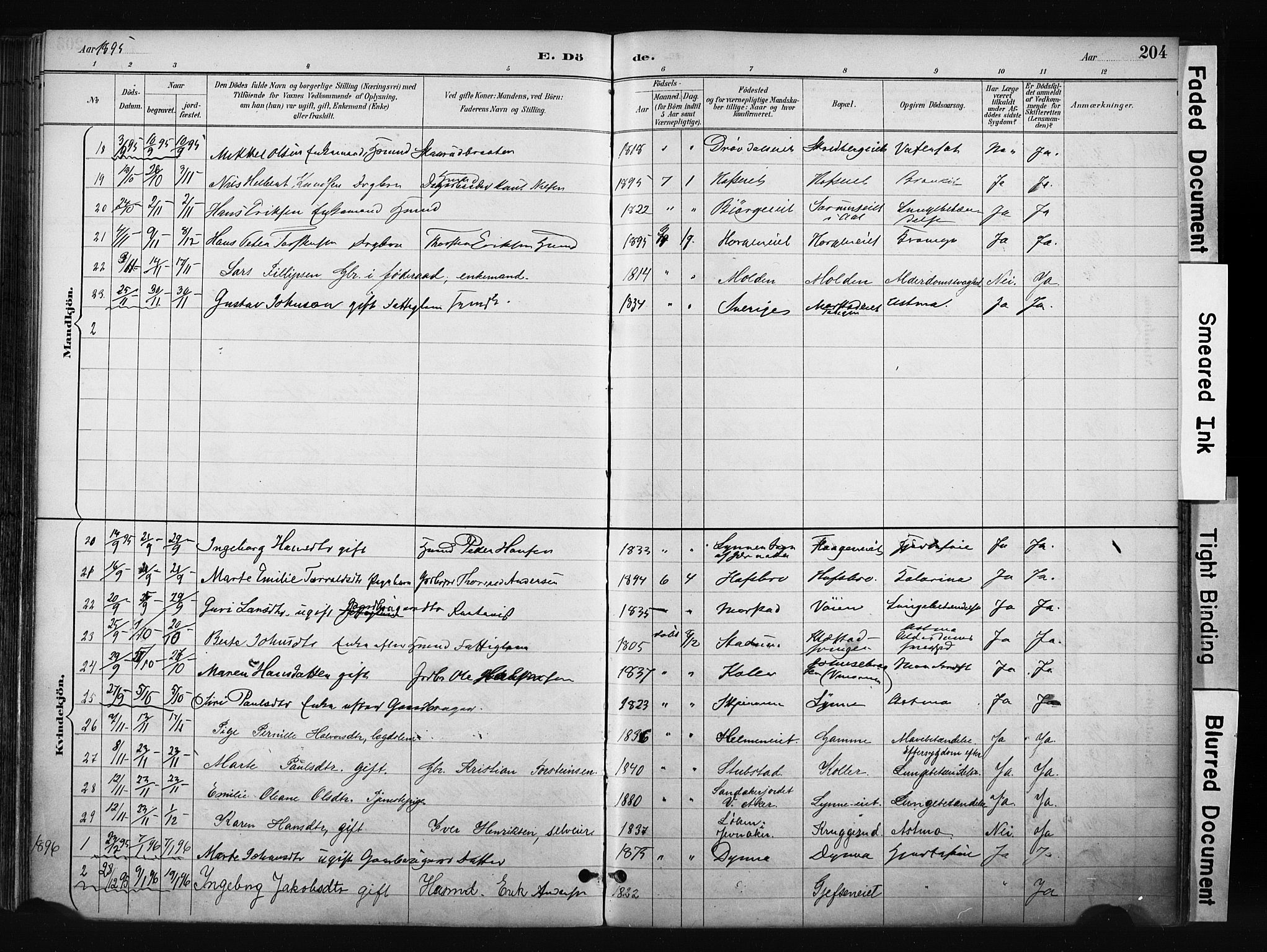 Gran prestekontor, SAH/PREST-112/H/Ha/Haa/L0017: Parish register (official) no. 17, 1889-1897, p. 204