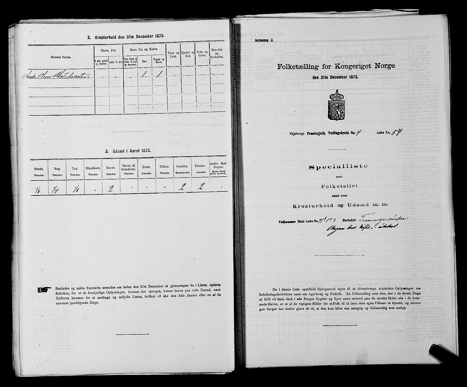 RA, 1875 census for 0115P Skjeberg, 1875, p. 816