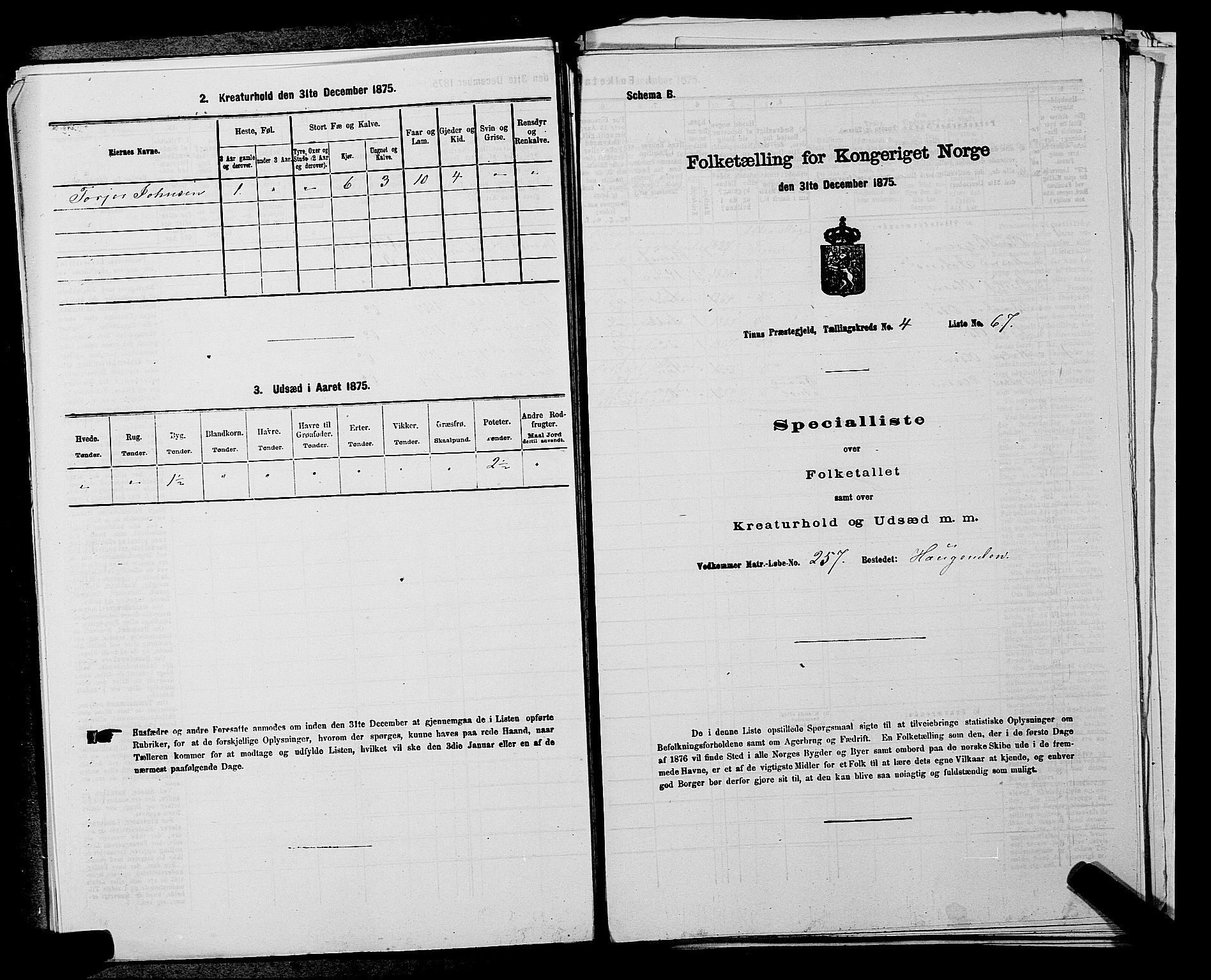 SAKO, 1875 census for 0826P Tinn, 1875, p. 597