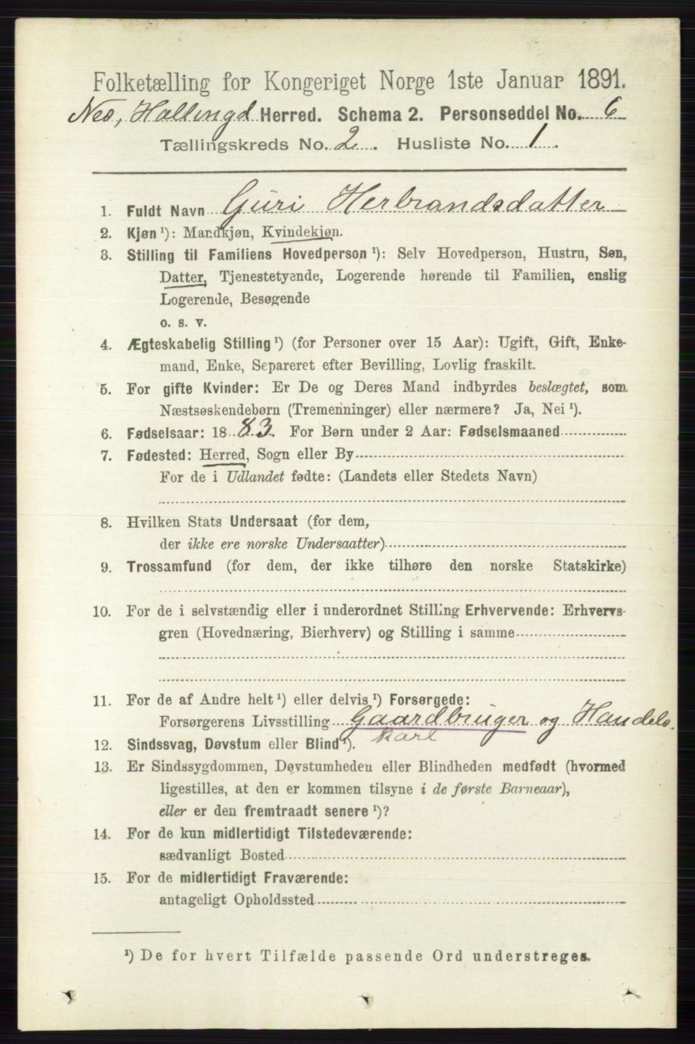 RA, 1891 census for 0616 Nes, 1891, p. 996