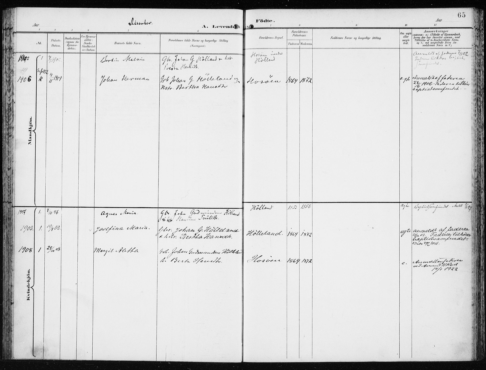 Lindås Sokneprestembete, SAB/A-76701/H/Haa: Parish register (official) no. F  2, 1897-1909, p. 65