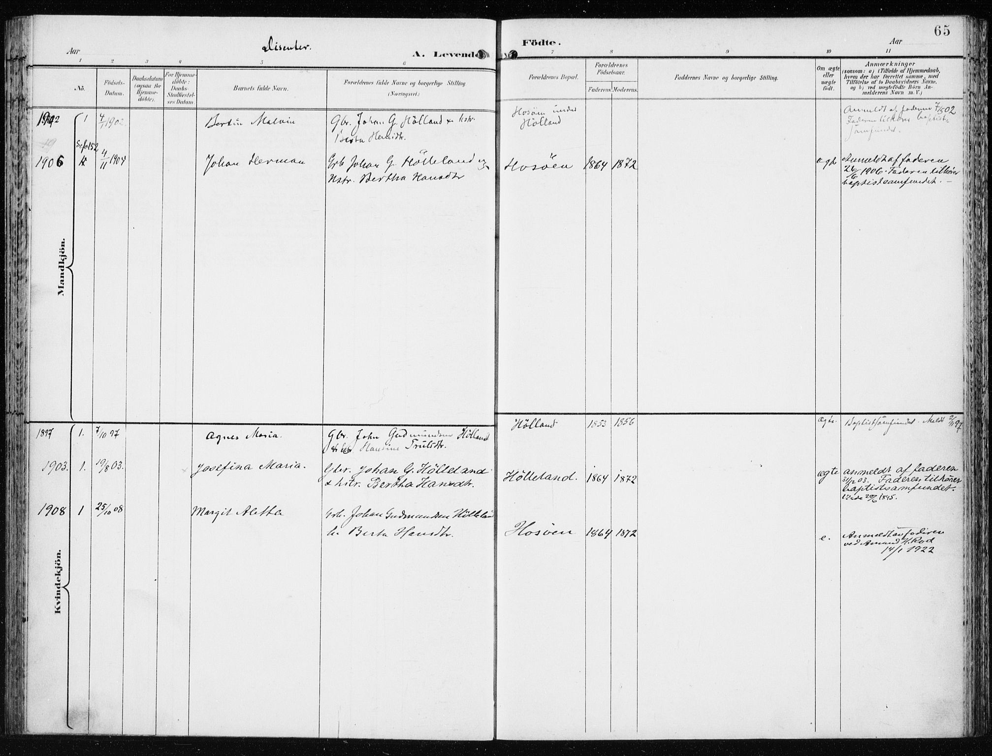 Lindås Sokneprestembete, AV/SAB-A-76701/H/Haa/Haaf/L0002: Parish register (official) no. F  2, 1897-1909, p. 65