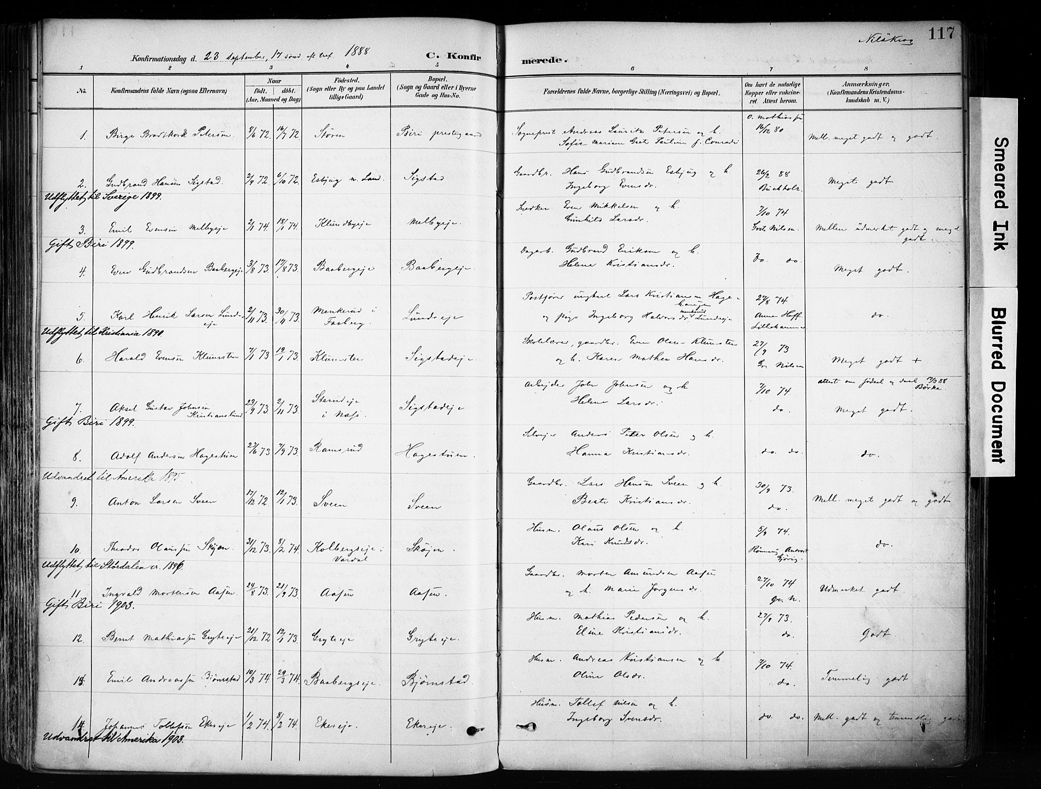 Biri prestekontor, SAH/PREST-096/H/Ha/Haa/L0009: Parish register (official) no. 9, 1887-1900, p. 117