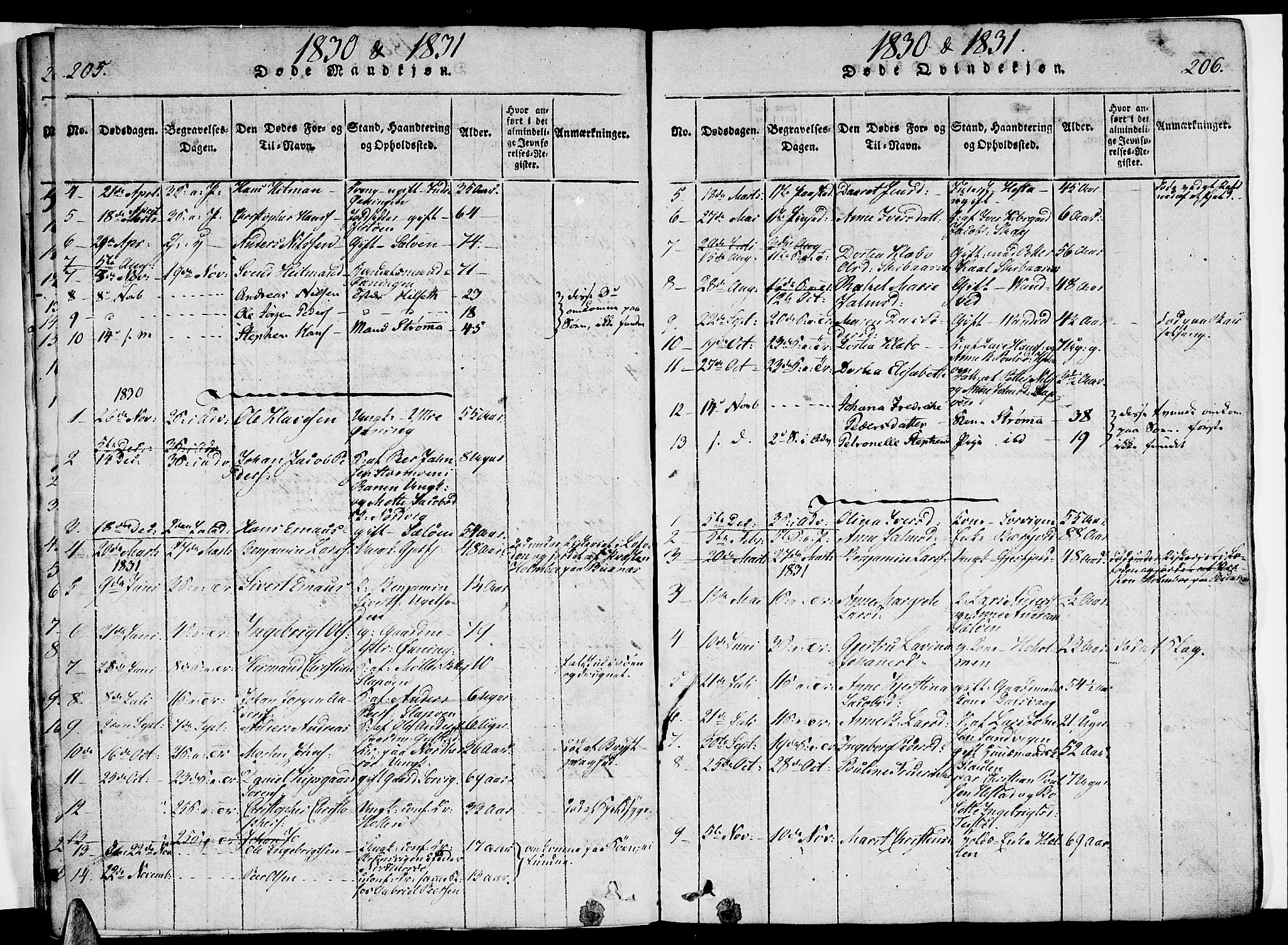 Ministerialprotokoller, klokkerbøker og fødselsregistre - Nordland, AV/SAT-A-1459/834/L0510: Parish register (copy) no. 834C01, 1820-1847, p. 205-206