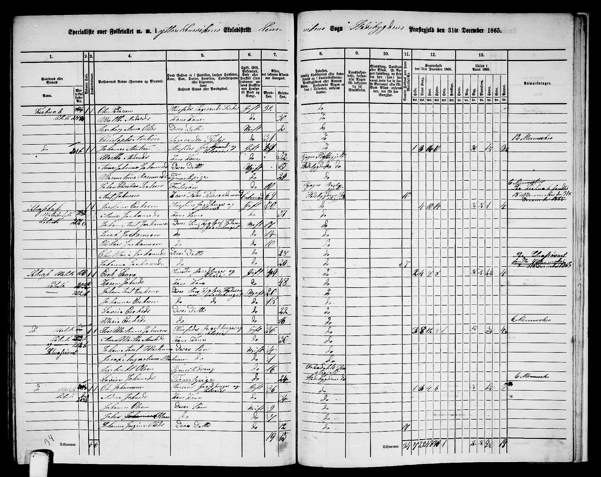 RA, 1865 census for Stadsbygd, 1865, p. 219