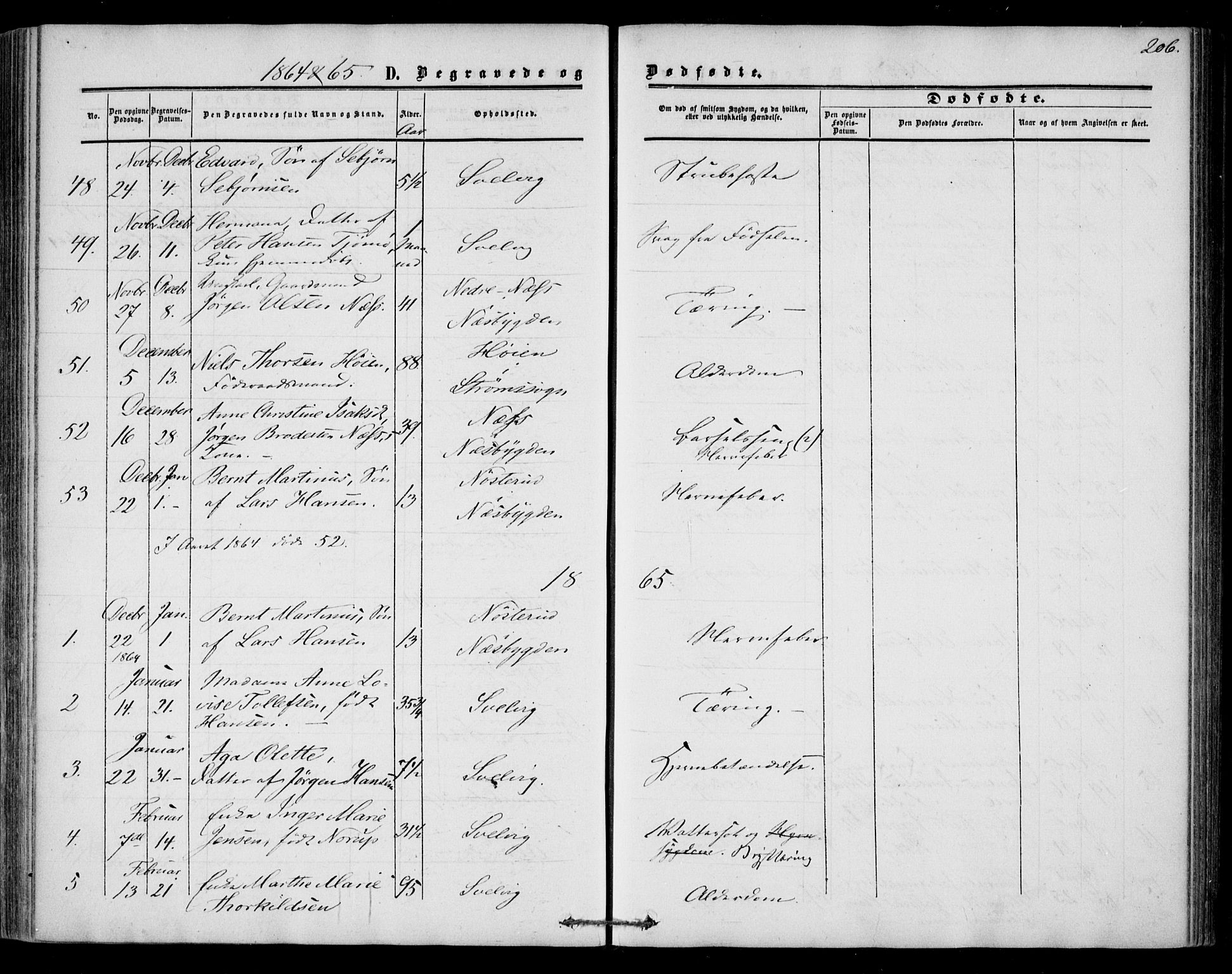 Strømm kirkebøker, AV/SAKO-A-322/F/Fa/L0001: Parish register (official) no. I 1, 1861-1869, p. 206