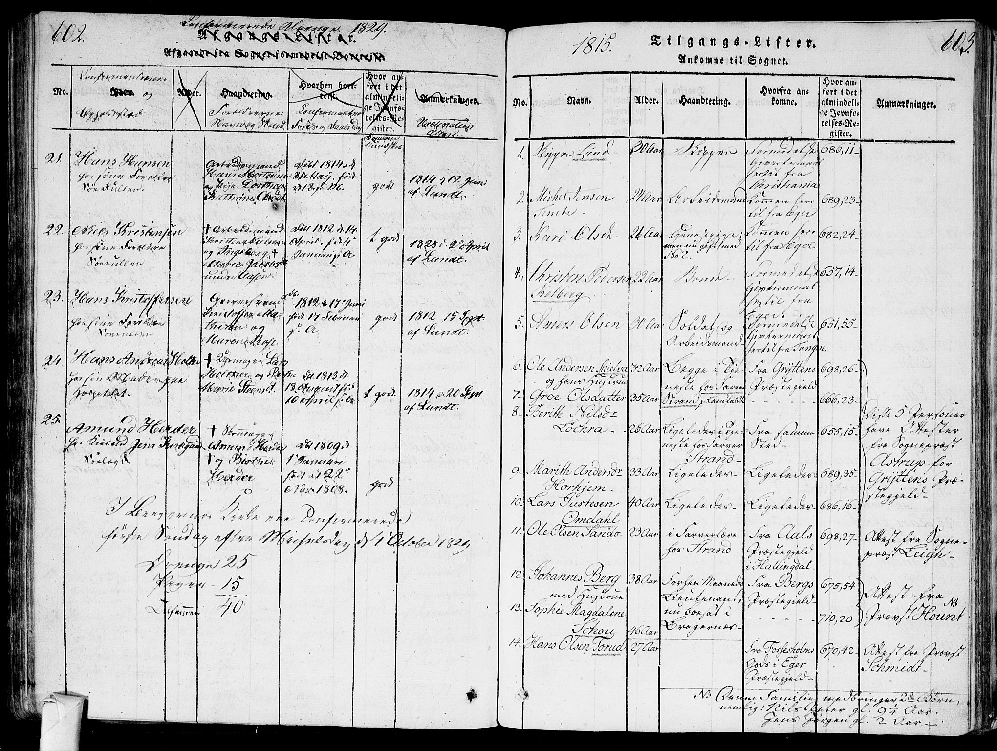 Bragernes kirkebøker, SAKO/A-6/G/Ga/L0001: Parish register (copy) no. 1, 1815-1829, p. 602-603