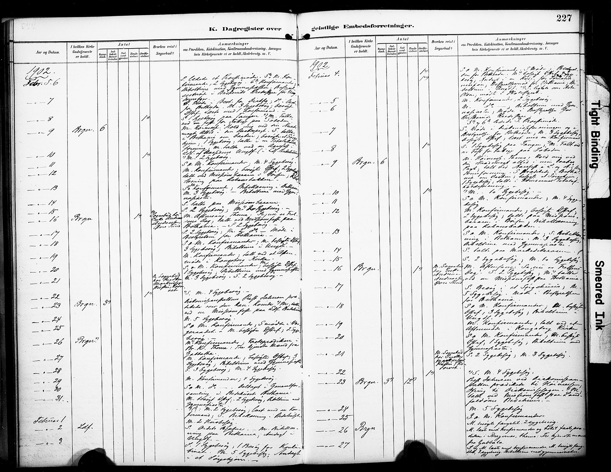 Bragernes kirkebøker, AV/SAKO-A-6/F/Fc/L0006: Parish register (official) no. III 6, 1888-1899, p. 227