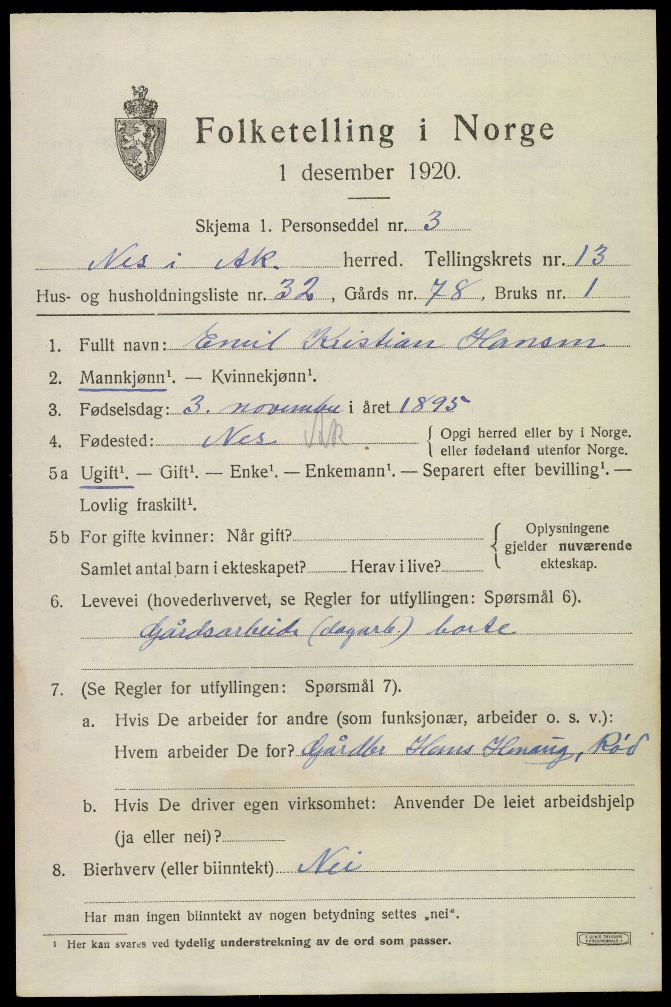 SAO, 1920 census for Nes, 1920, p. 13724