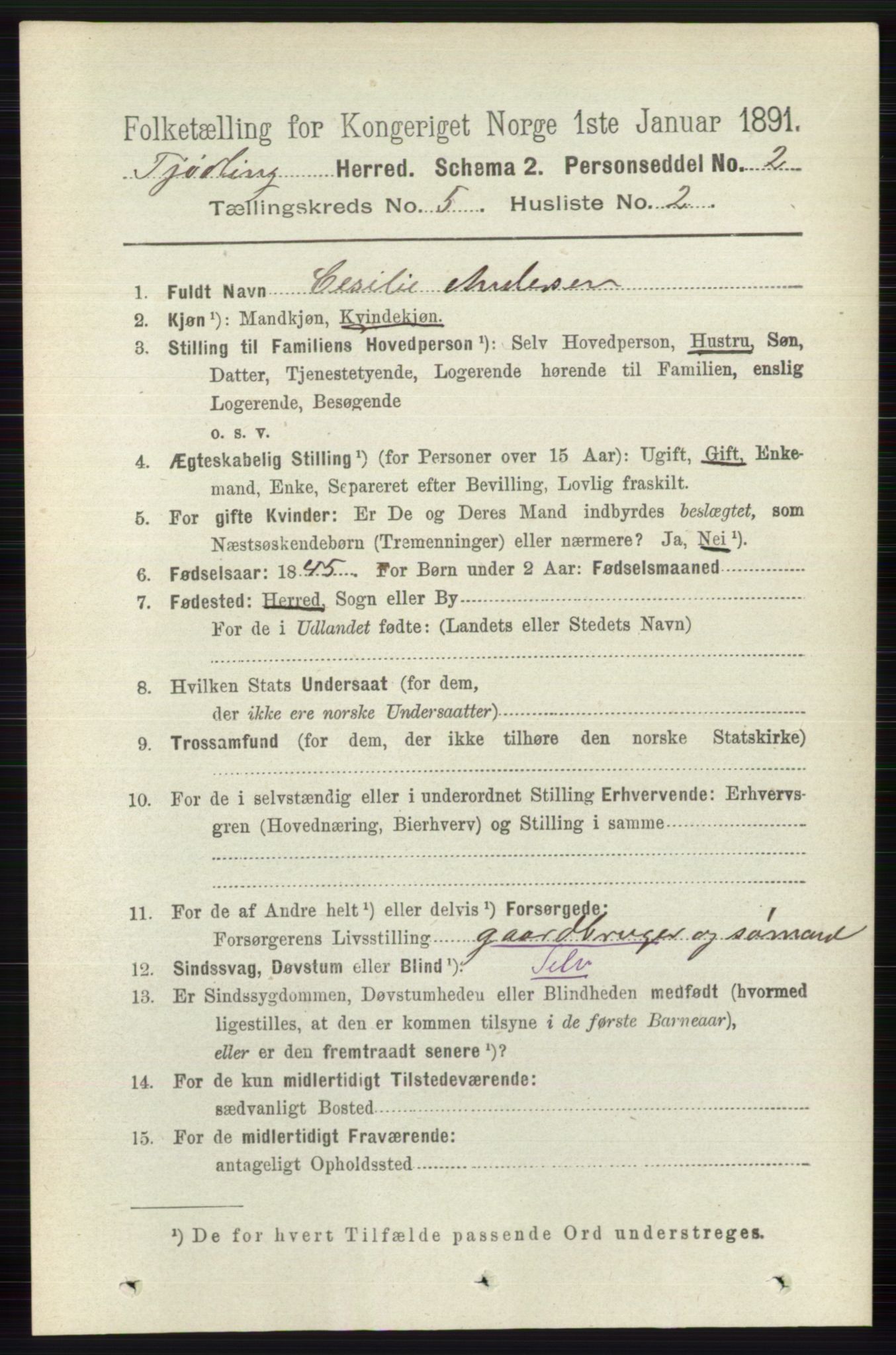 RA, 1891 census for 0725 Tjølling, 1891, p. 1978