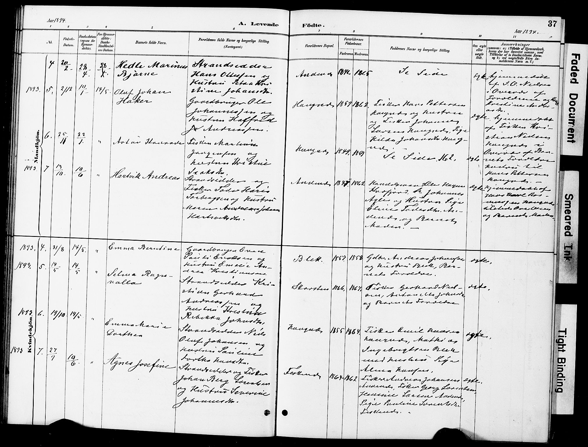 Ministerialprotokoller, klokkerbøker og fødselsregistre - Nordland, AV/SAT-A-1459/899/L1448: Parish register (copy) no. 899C03, 1887-1902, p. 37