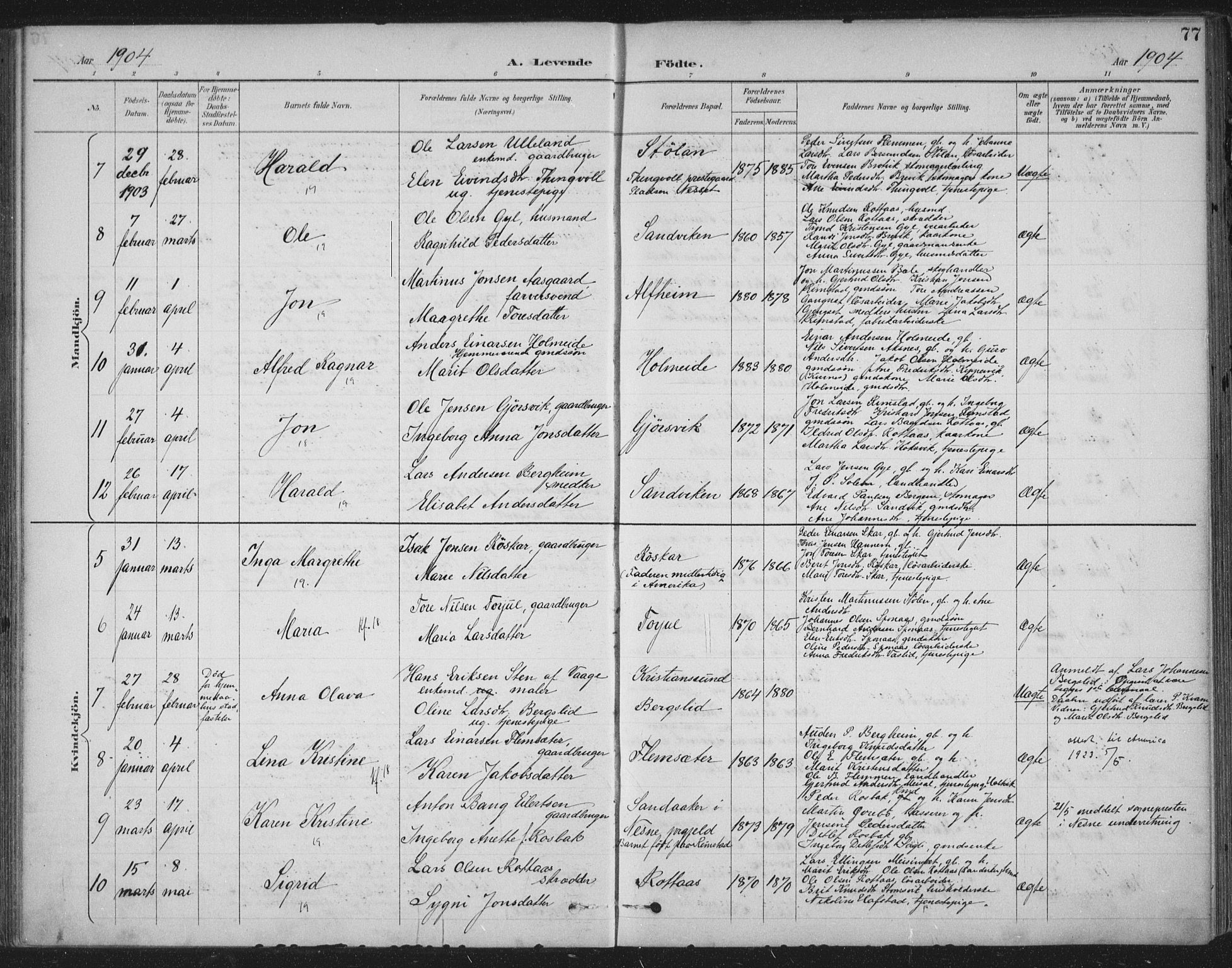 Ministerialprotokoller, klokkerbøker og fødselsregistre - Møre og Romsdal, AV/SAT-A-1454/586/L0988: Parish register (official) no. 586A14, 1893-1905, p. 77