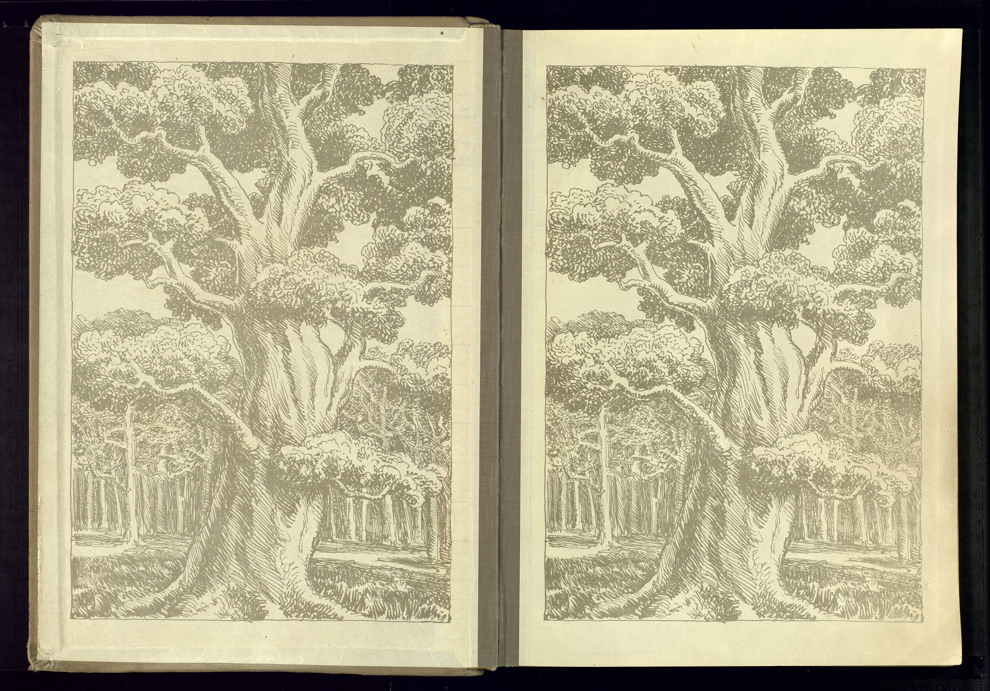 Kristiansand domprosti, AV/SAK-1112-0006/J/Jc/L0005: Birth register no. A-VI-49, 1937-1941