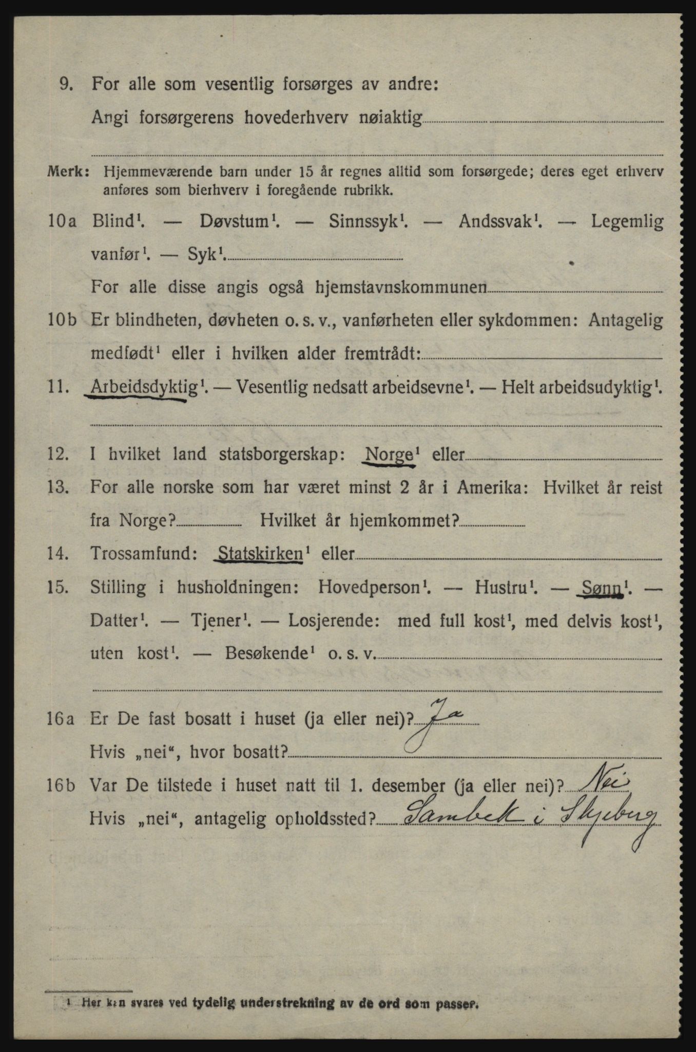 SAO, 1920 census for Skjeberg, 1920, p. 4980