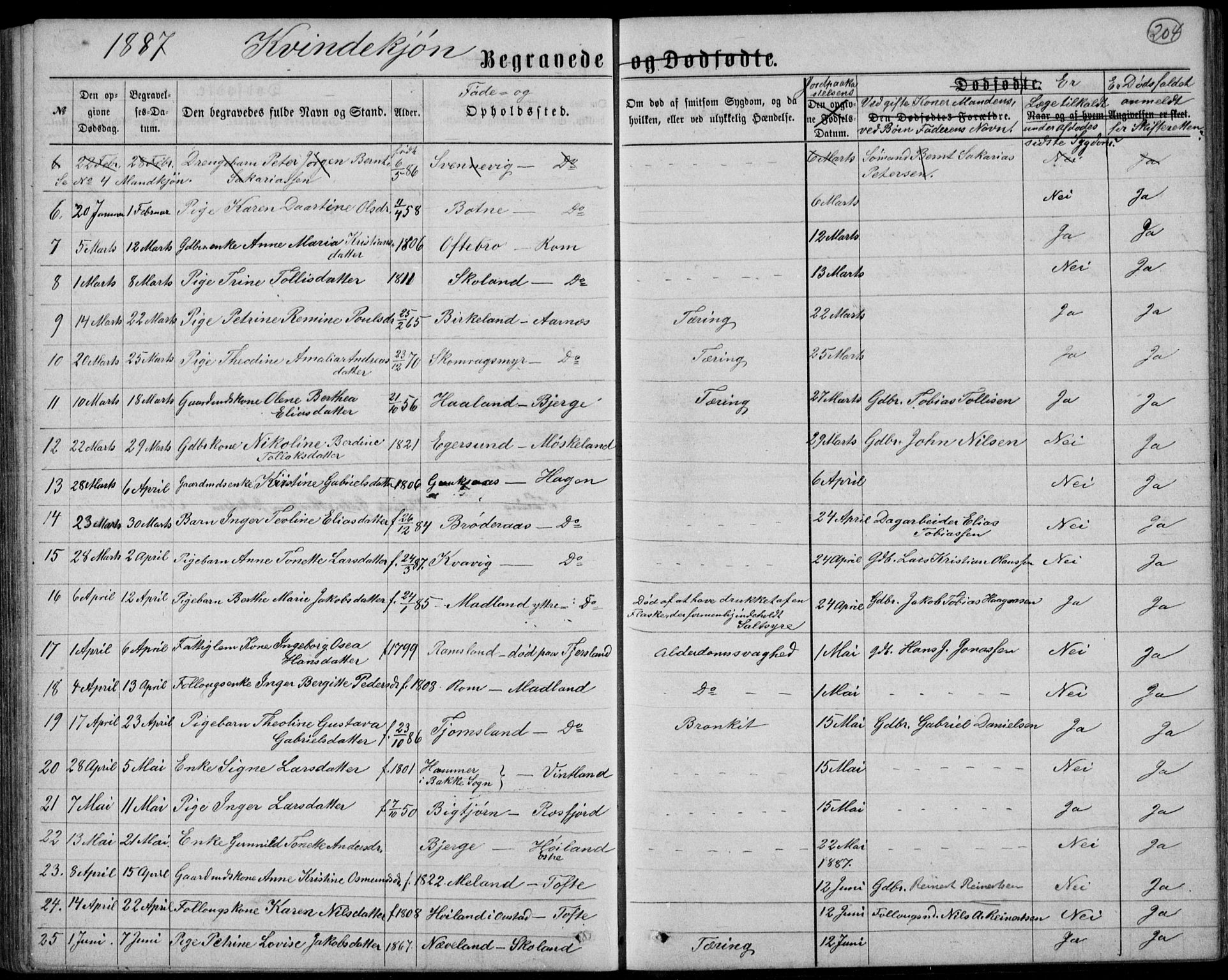 Lyngdal sokneprestkontor, AV/SAK-1111-0029/F/Fb/Fbc/L0004: Parish register (copy) no. B 4, 1878-1896, p. 204