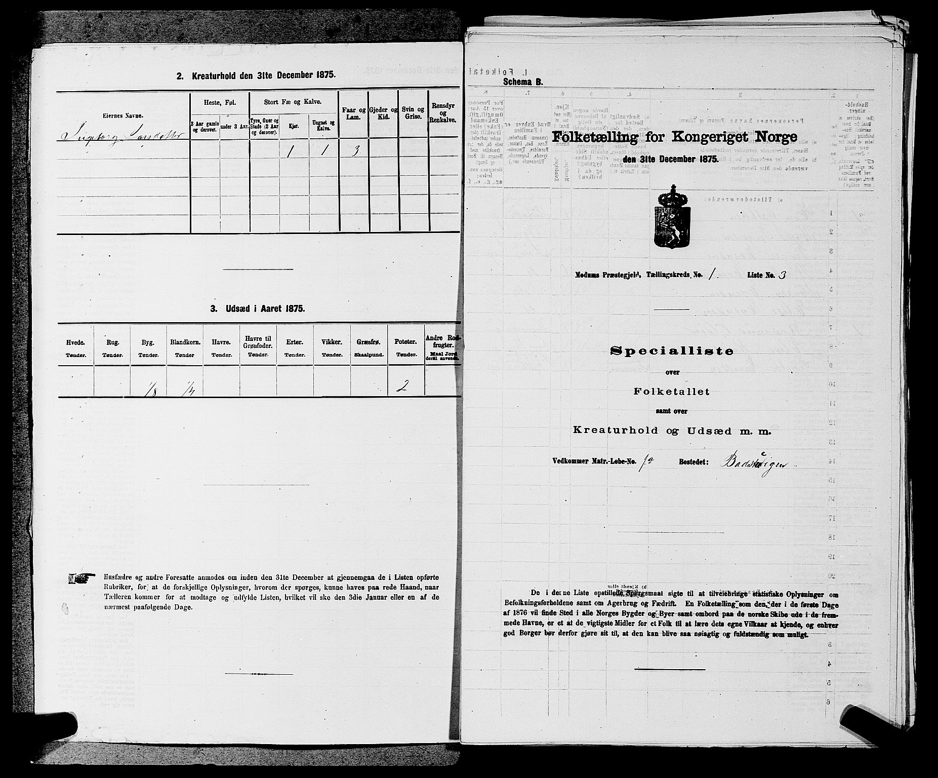 SAKO, 1875 census for 0623P Modum, 1875, p. 112