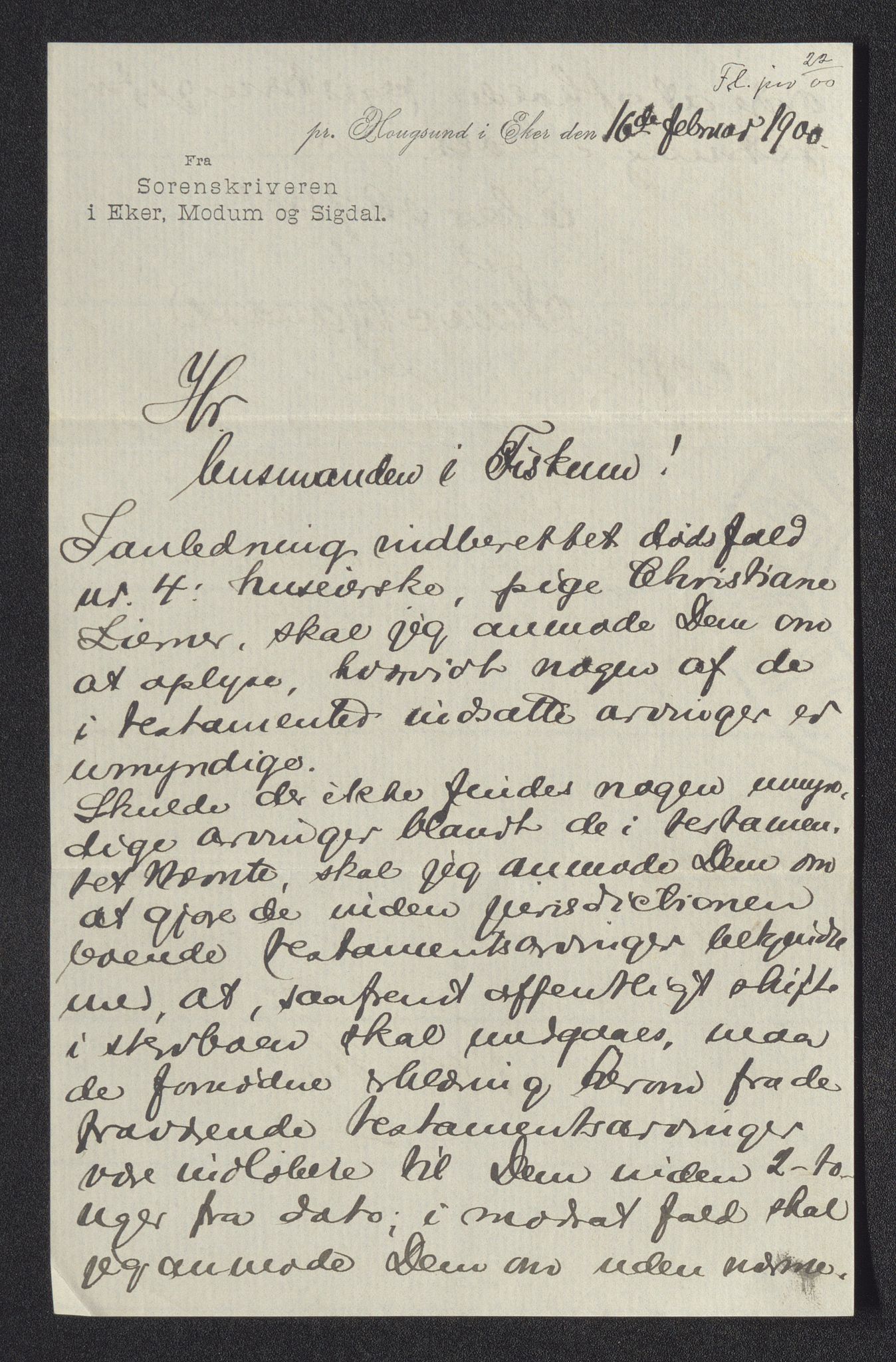 Eiker, Modum og Sigdal sorenskriveri, AV/SAKO-A-123/H/Ha/Hab/L0027: Dødsfallsmeldinger, 1900, p. 161