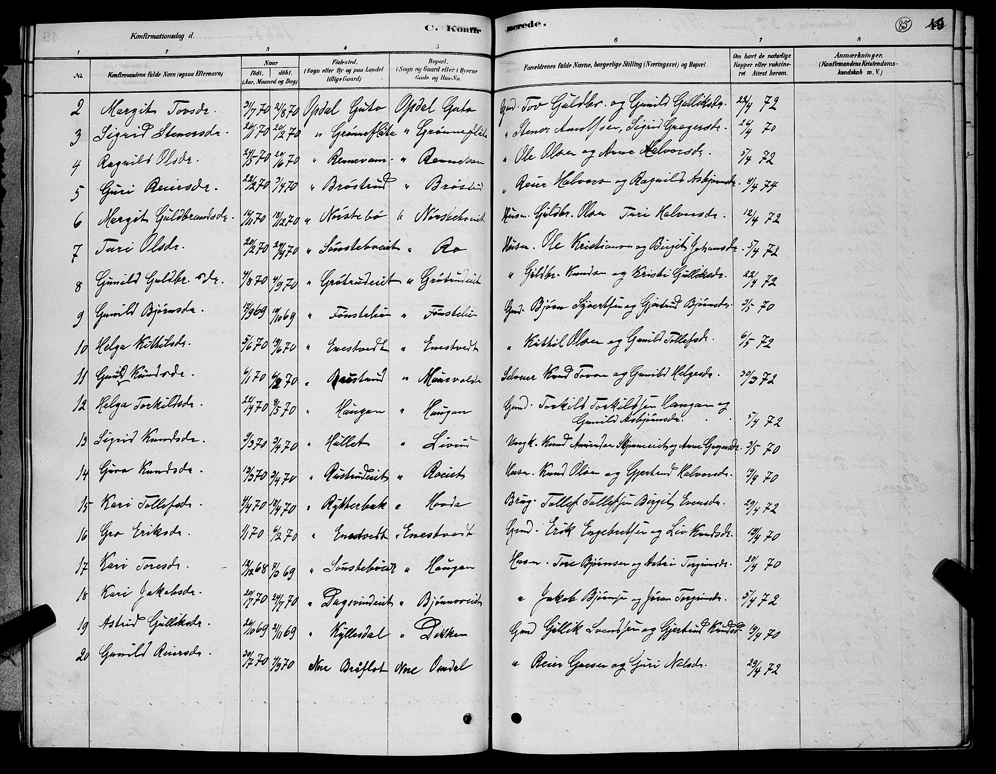 Nore kirkebøker, SAKO/A-238/G/Gb/L0002: Parish register (copy) no. II 2, 1878-1894, p. 85