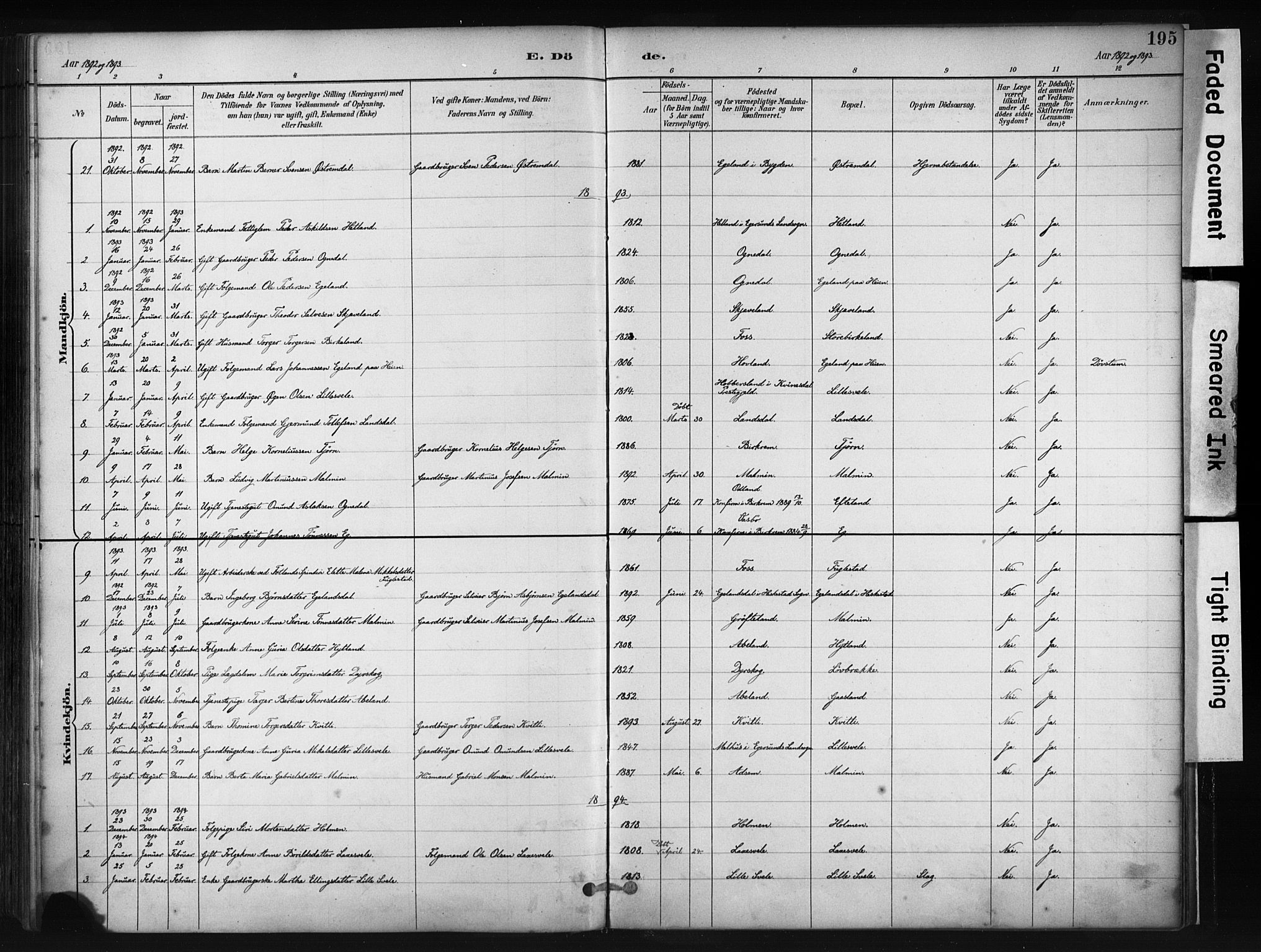 Helleland sokneprestkontor, AV/SAST-A-101810: Parish register (official) no. A 9, 1887-1908, p. 195