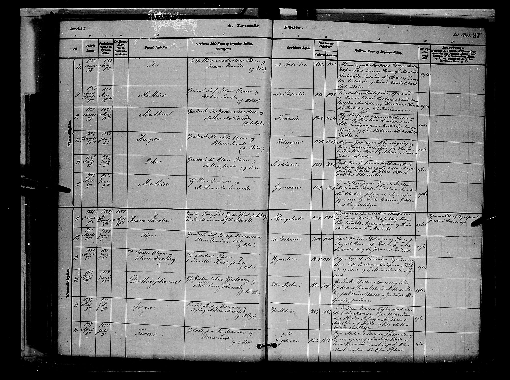 Stange prestekontor, AV/SAH-PREST-002/L/L0007: Parish register (copy) no. 7, 1880-1893, p. 37