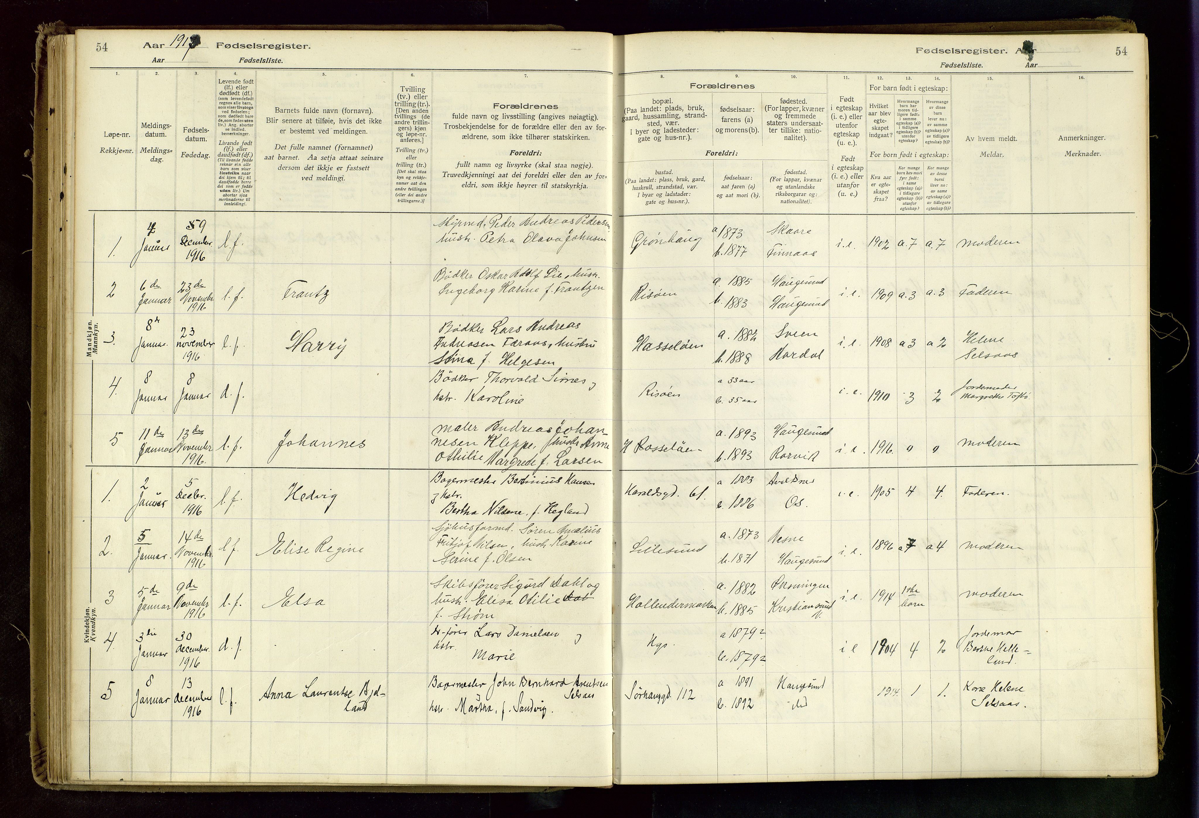 Haugesund sokneprestkontor, SAST/A -101863/I/Id/L0003: Birth register no. 1, 1916-1919, p. 54