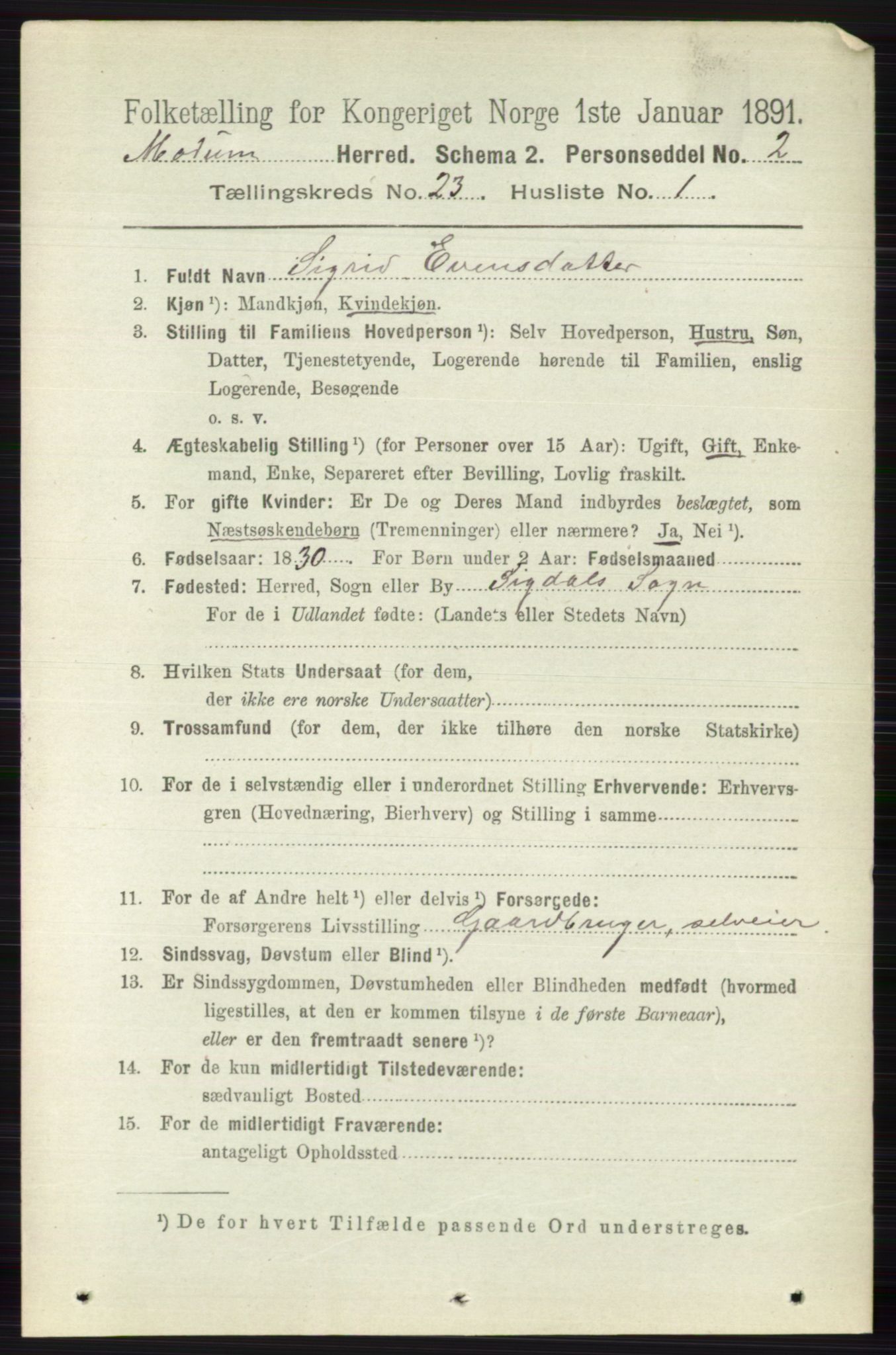 RA, 1891 census for 0623 Modum, 1891, p. 8694