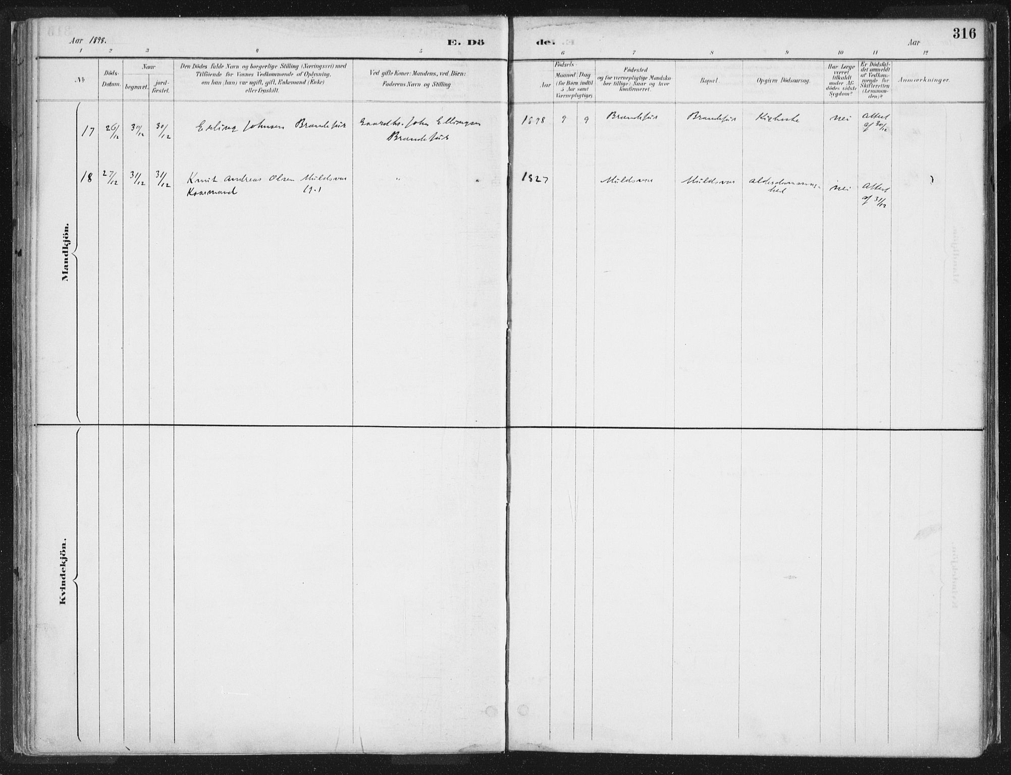 Hornindal sokneprestembete, AV/SAB-A-82401/H/Haa/Haaa/L0003/0002: Parish register (official) no. A 3B, 1885-1917, p. 316