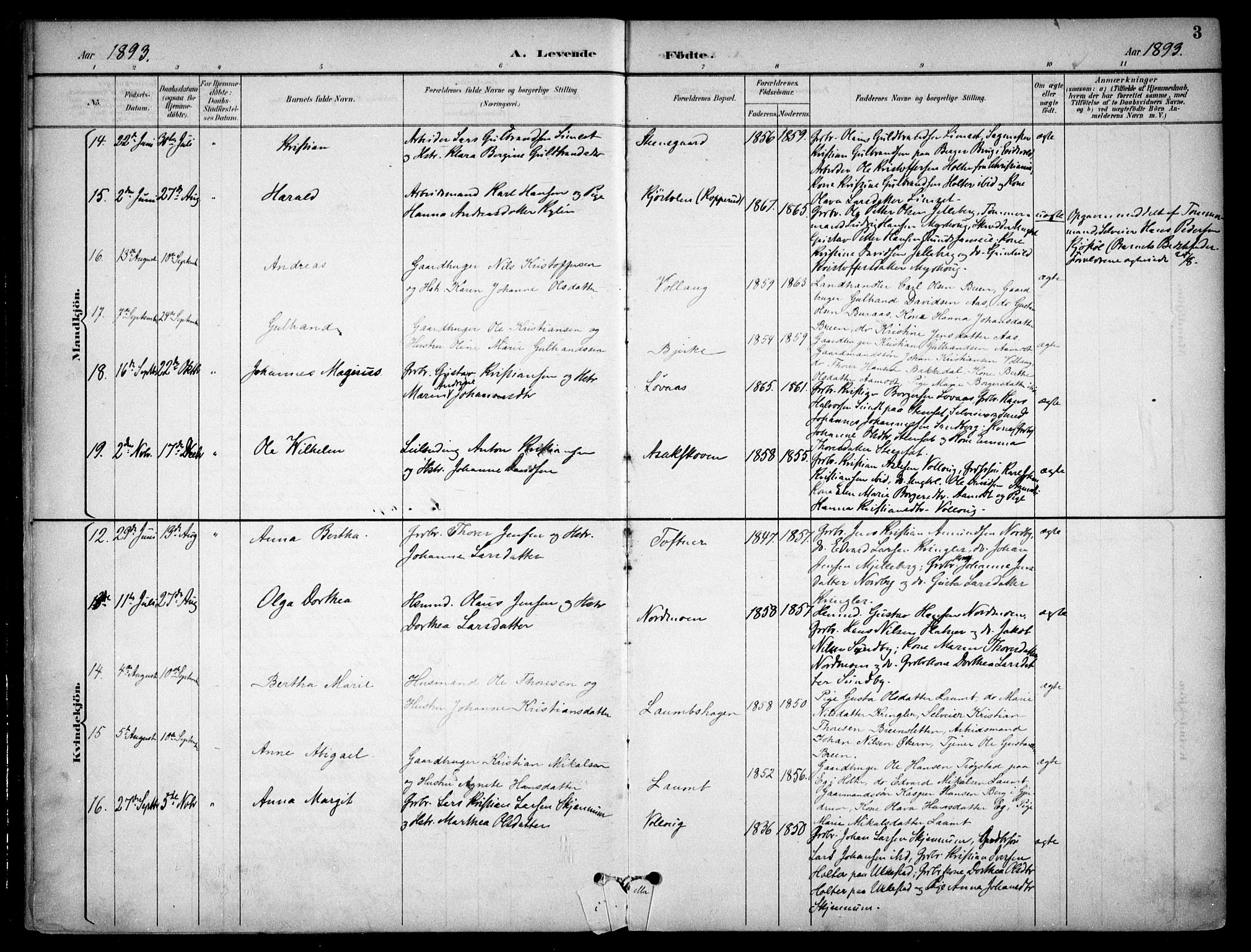 Nannestad prestekontor Kirkebøker, AV/SAO-A-10414a/F/Fc/L0002: Parish register (official) no. III 2, 1893-1907, p. 3