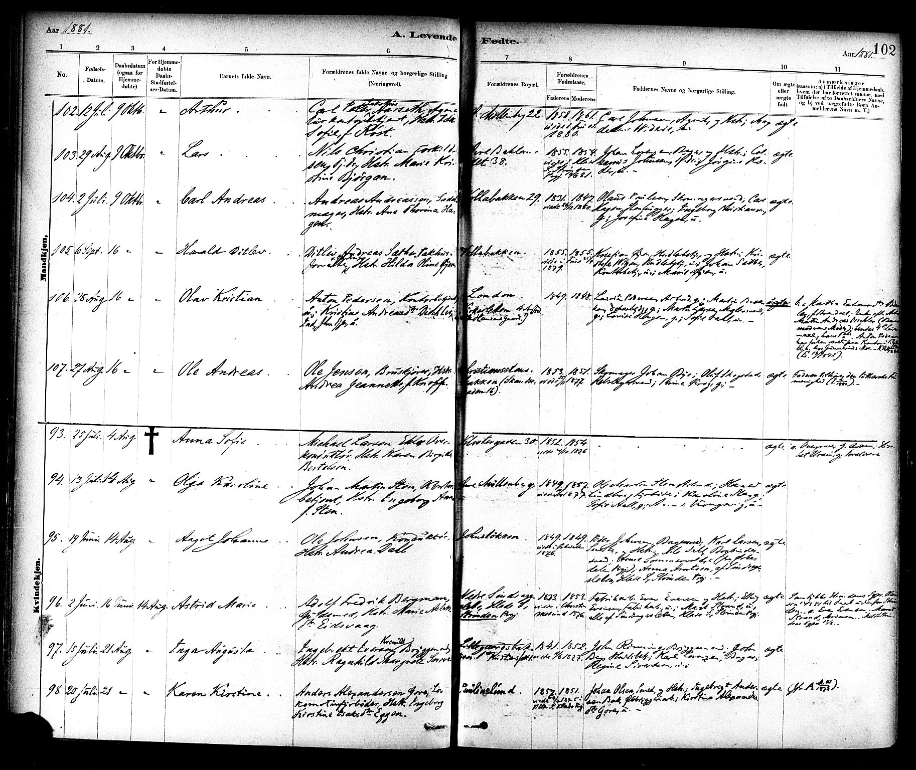 Ministerialprotokoller, klokkerbøker og fødselsregistre - Sør-Trøndelag, SAT/A-1456/604/L0188: Parish register (official) no. 604A09, 1878-1892, p. 102