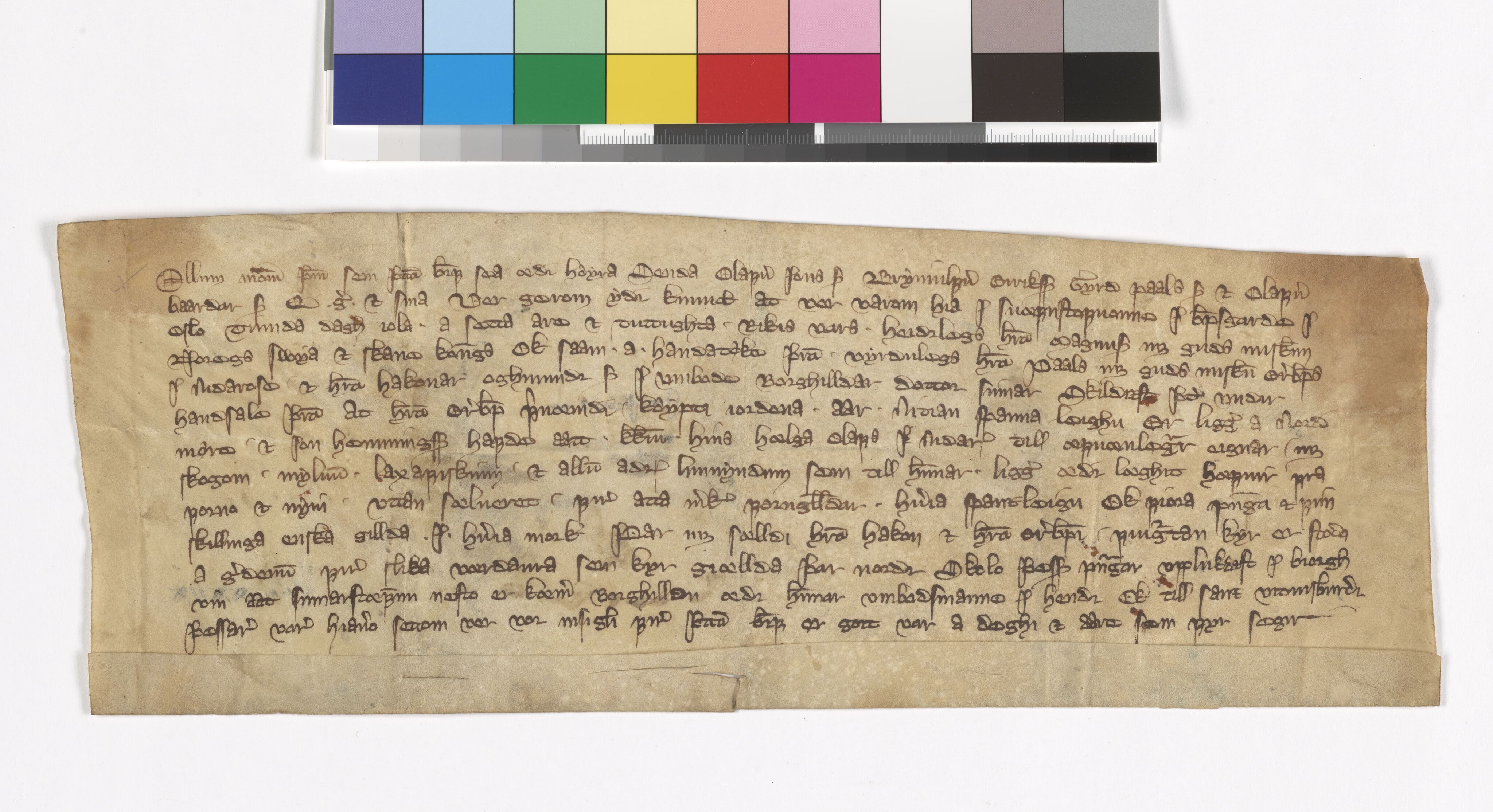 Riksarkivets diplomsamling, AV/RA-EA-5965/F05/L0032: NRA AM fasc. 10 nr. 3-9, 1342-1345, p. 44