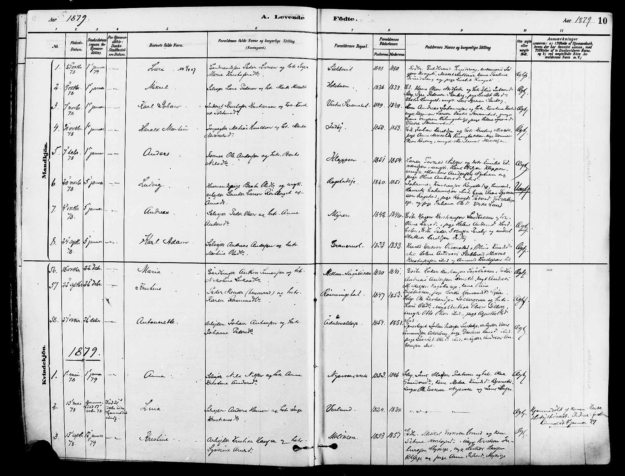 Løten prestekontor, AV/SAH-PREST-022/K/Ka/L0009: Parish register (official) no. 9, 1878-1891, p. 10