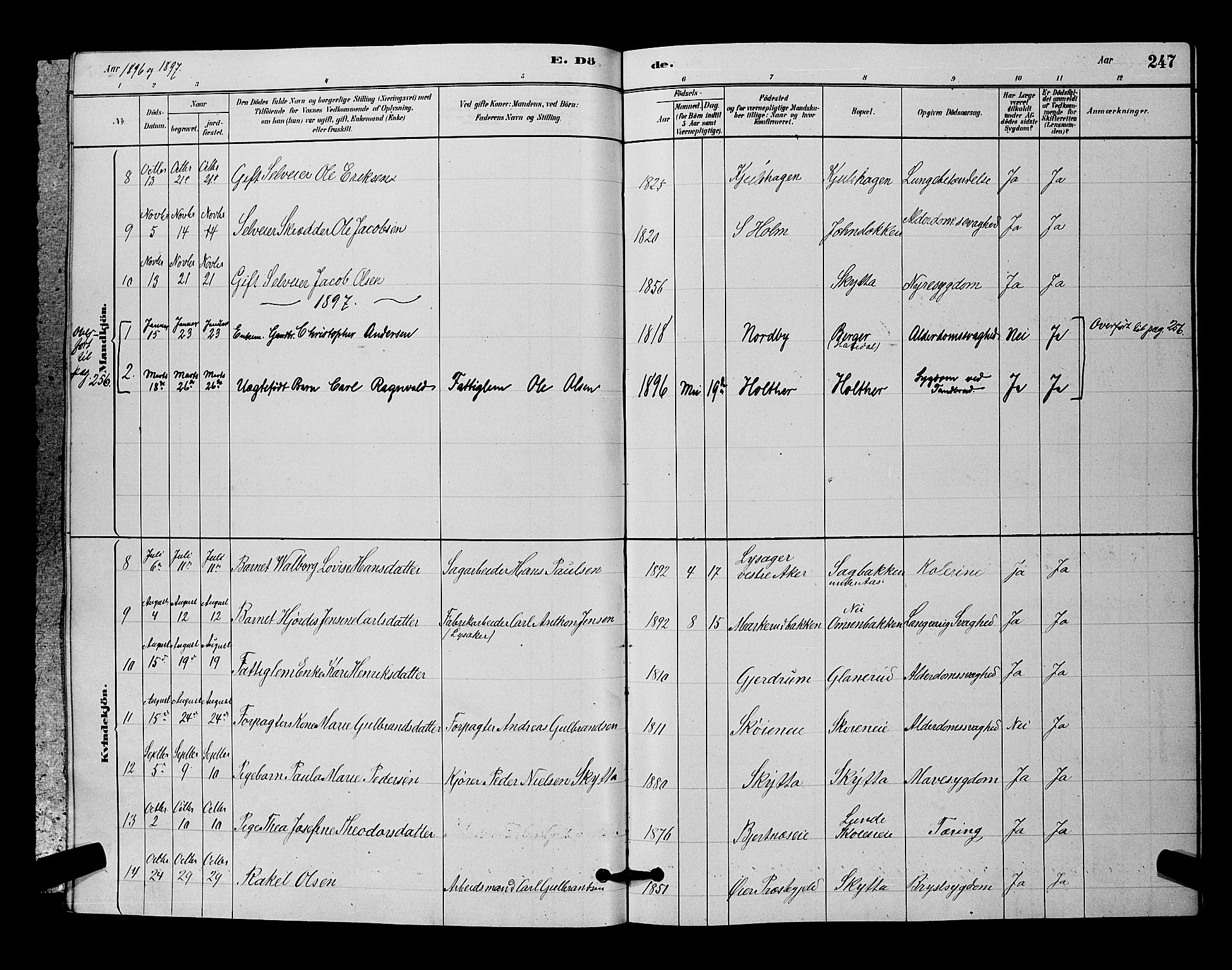 Nittedal prestekontor Kirkebøker, AV/SAO-A-10365a/G/Ga/L0002: Parish register (copy) no. I 2, 1879-1901, p. 247