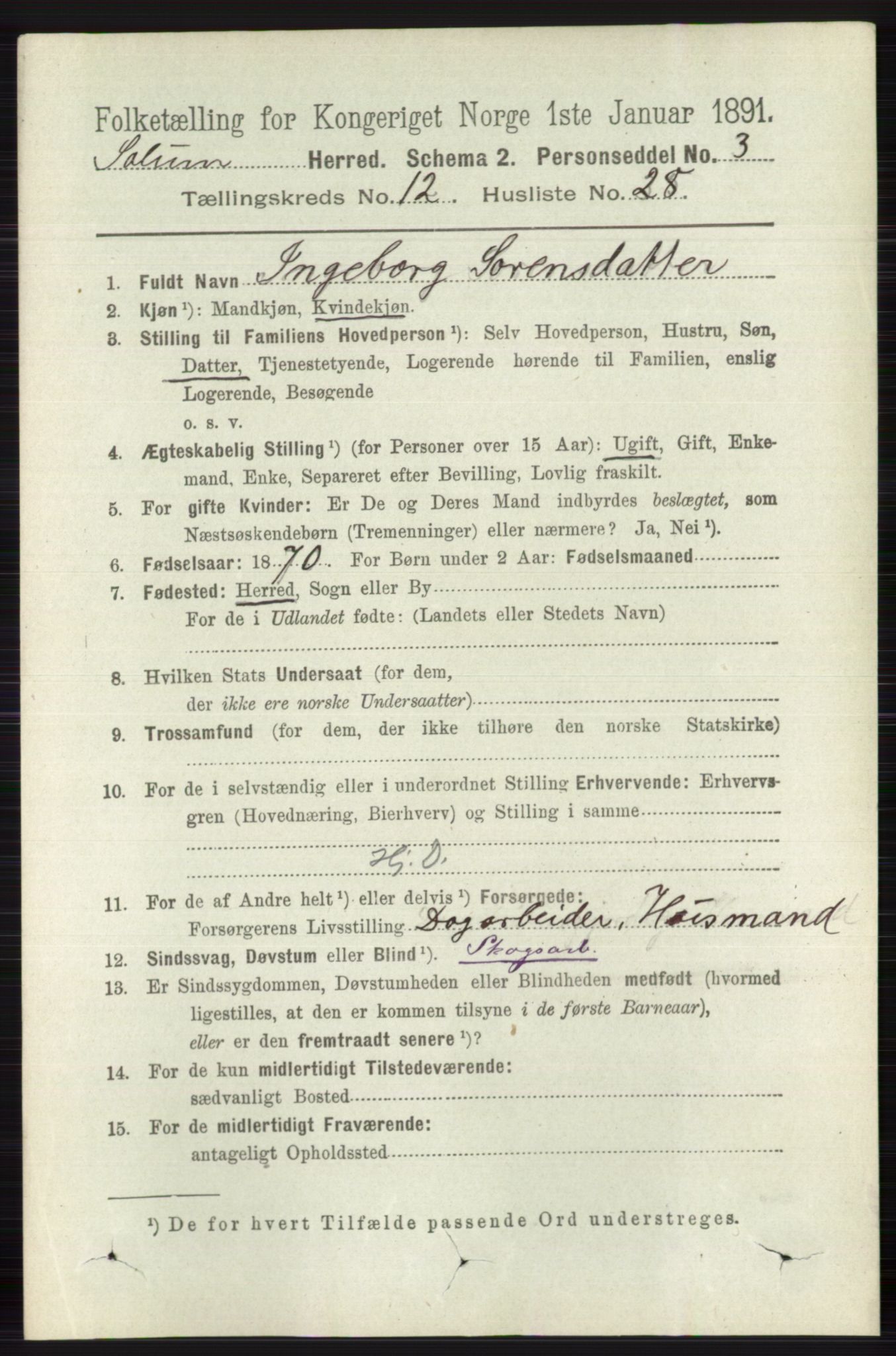 RA, 1891 census for 0818 Solum, 1891, p. 5747