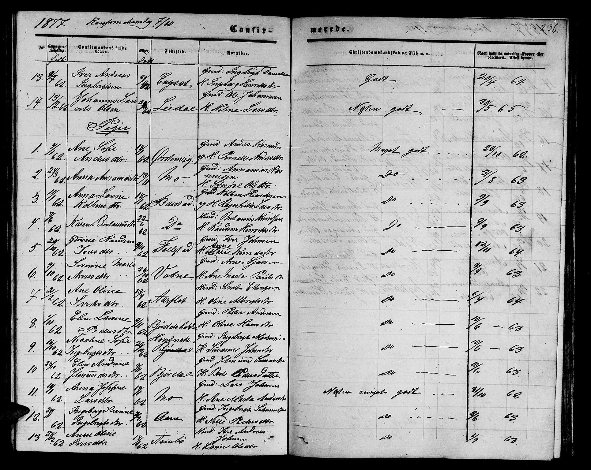 Ministerialprotokoller, klokkerbøker og fødselsregistre - Møre og Romsdal, AV/SAT-A-1454/513/L0188: Parish register (copy) no. 513C02, 1865-1882, p. 236