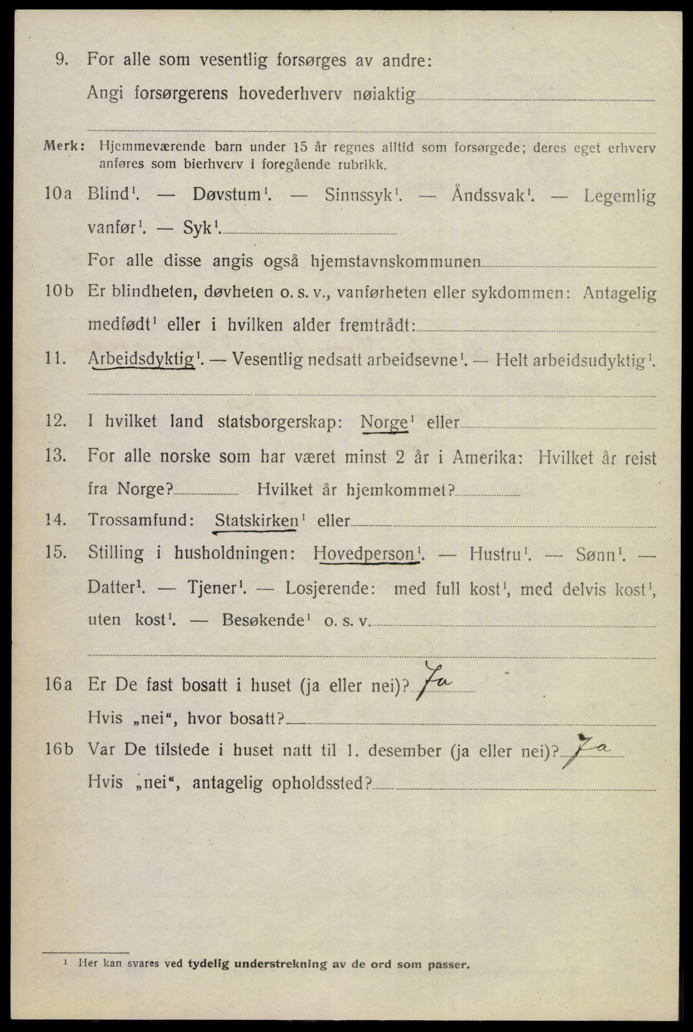 SAKO, 1920 census for Hol (Buskerud), 1920, p. 2418