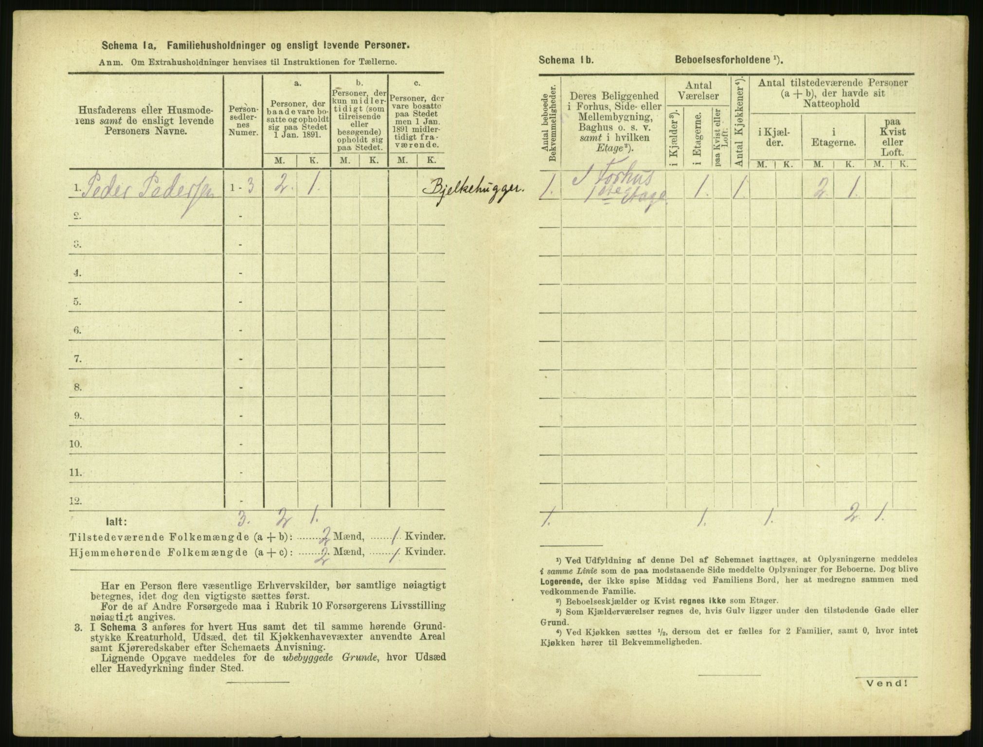 RA, 1891 census for 0806 Skien, 1891, p. 1521