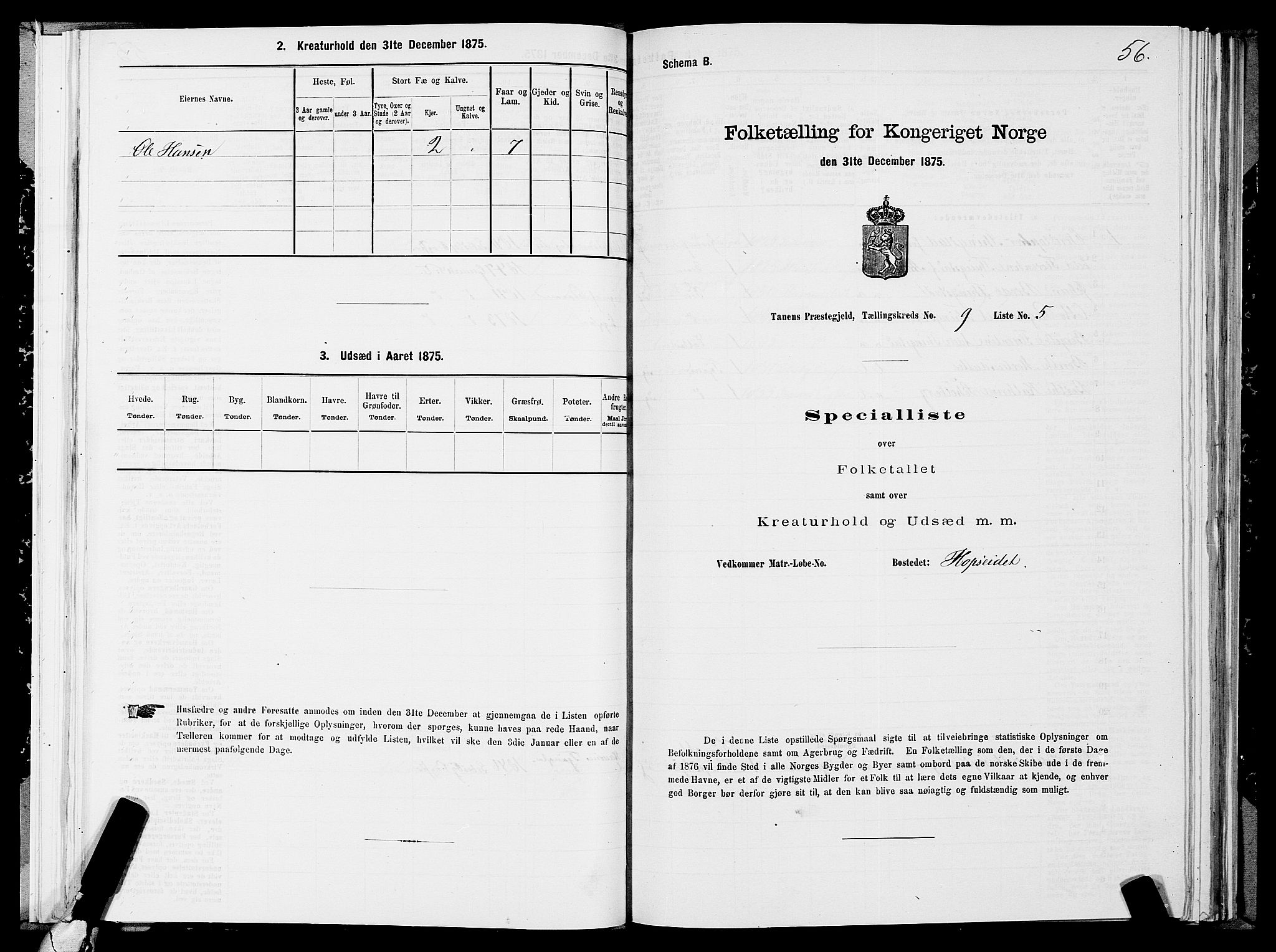 SATØ, 1875 census for 2025P Tana, 1875, p. 3056