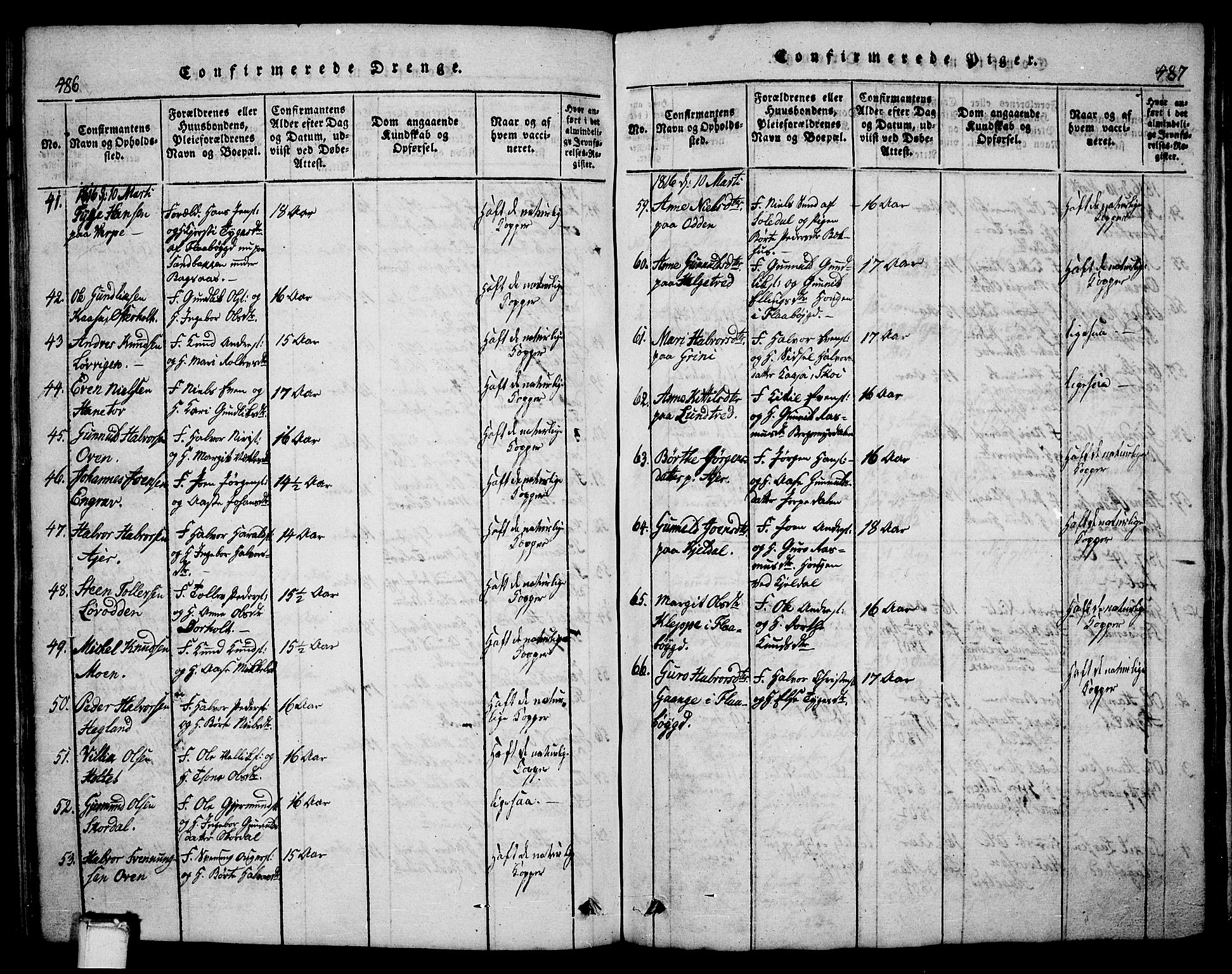 Bø kirkebøker, AV/SAKO-A-257/G/Ga/L0001: Parish register (copy) no. 1, 1815-1831, p. 486-487