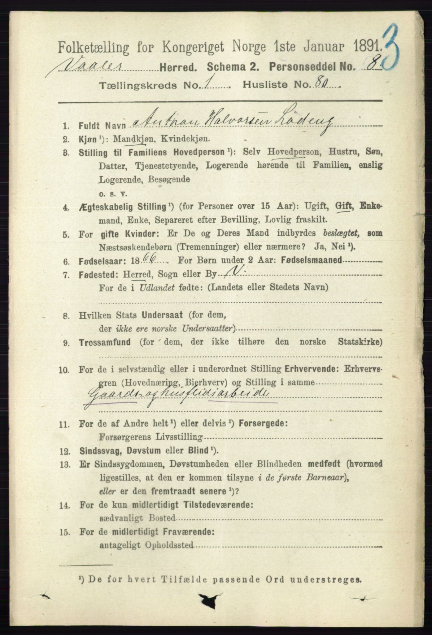 RA, 1891 census for 0137 Våler, 1891, p. 611