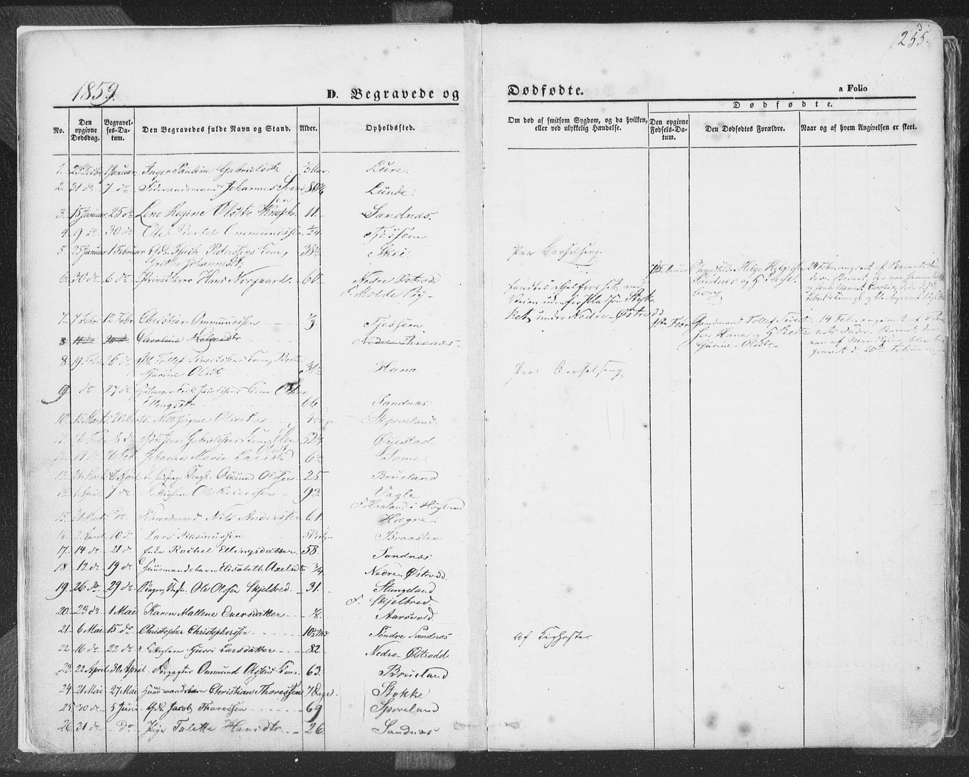 Høyland sokneprestkontor, SAST/A-101799/001/30BA/L0009: Parish register (official) no. A 9.2, 1857-1877, p. 255