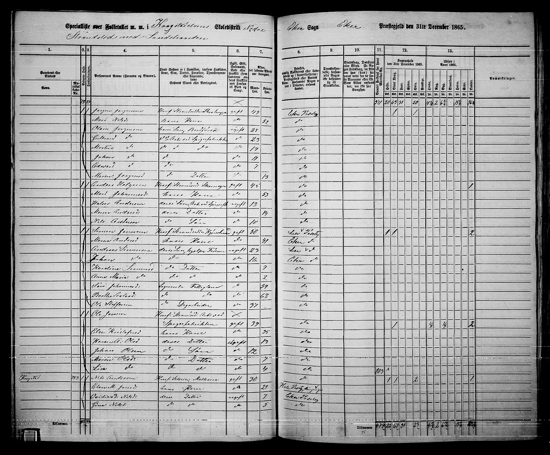RA, 1865 census for Eiker, 1865, p. 384