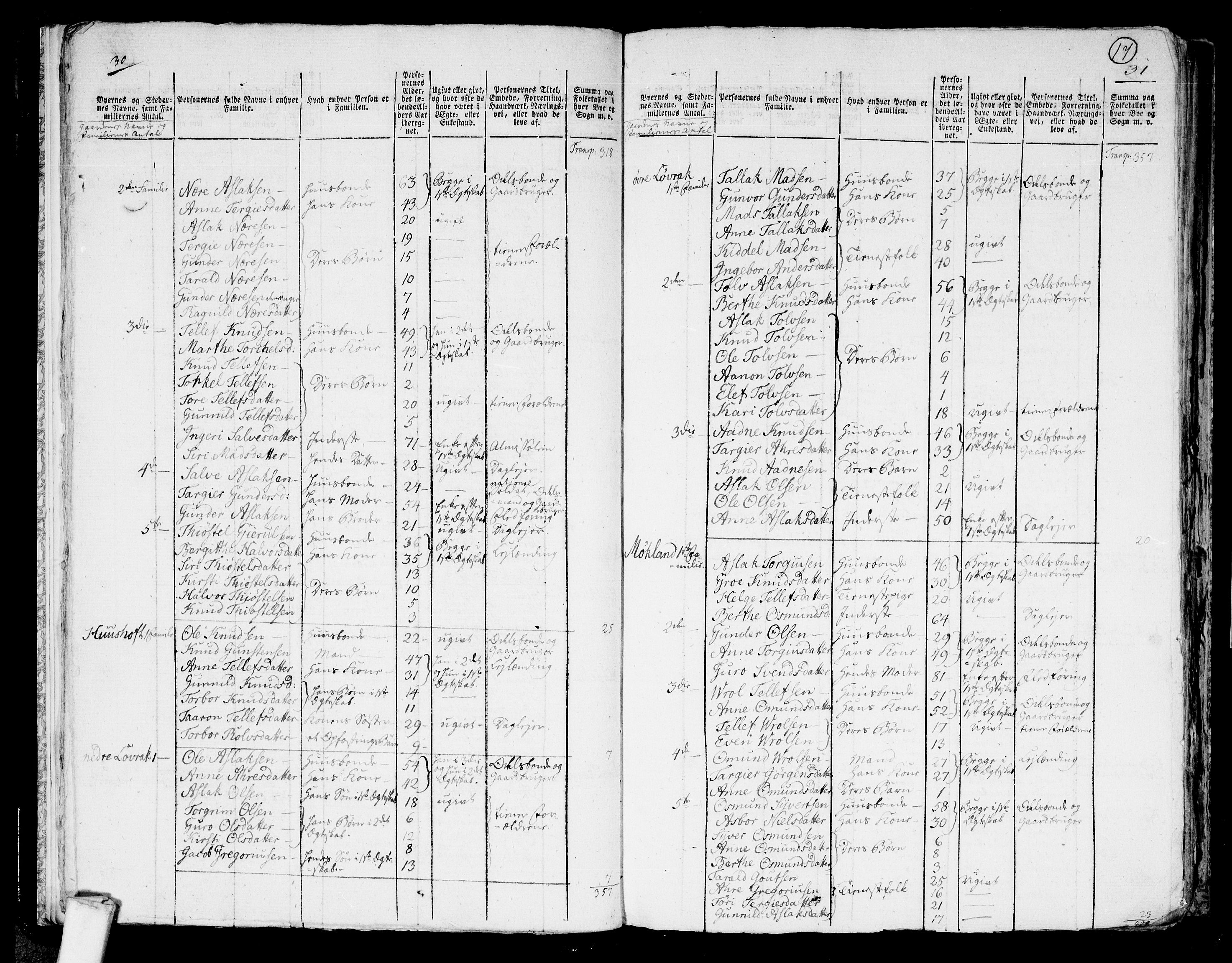 RA, 1801 census for 0929P Åmli, 1801, p. 16b-17a