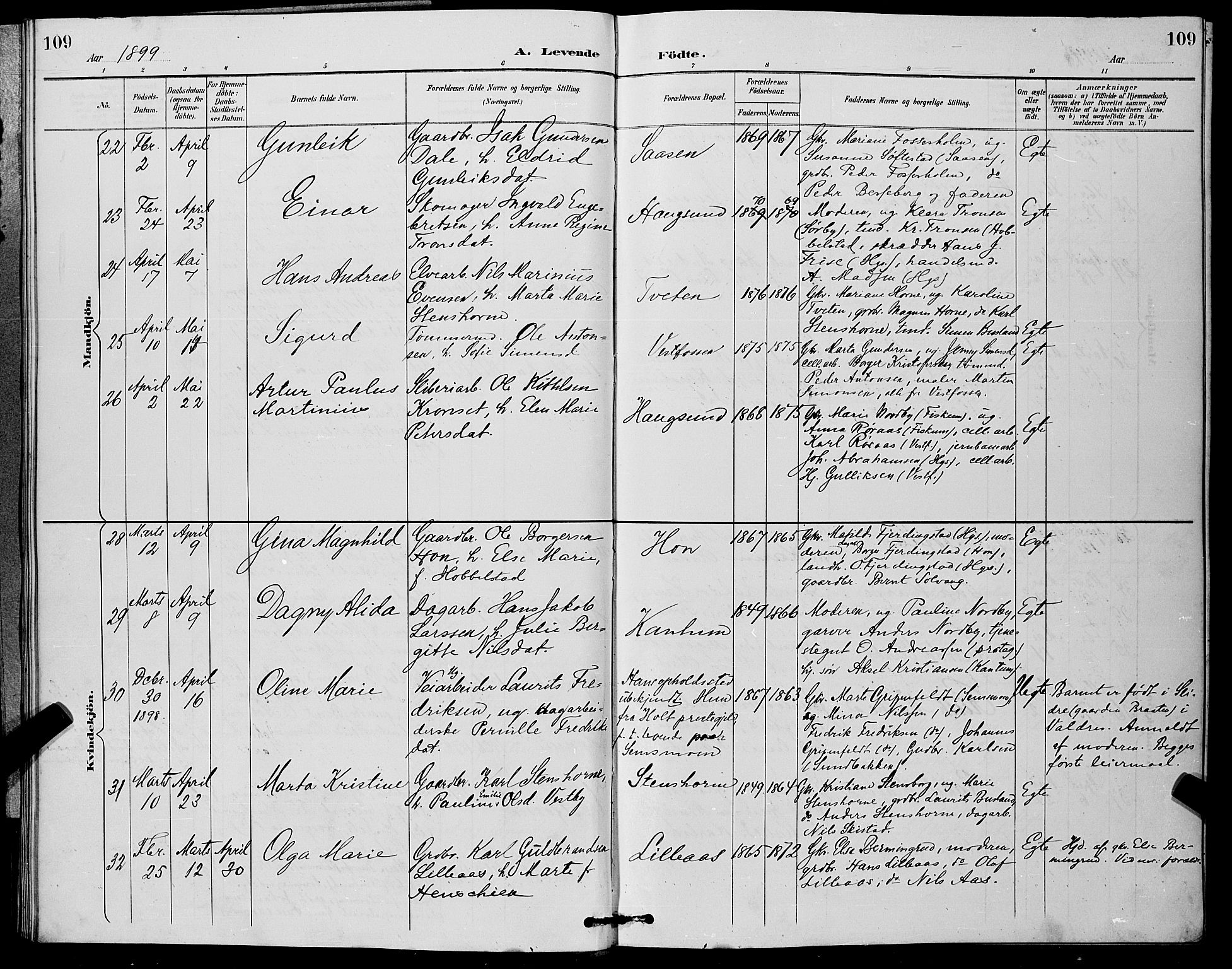 Eiker kirkebøker, AV/SAKO-A-4/G/Ga/L0007: Parish register (copy) no. I 7, 1893-1902, p. 109