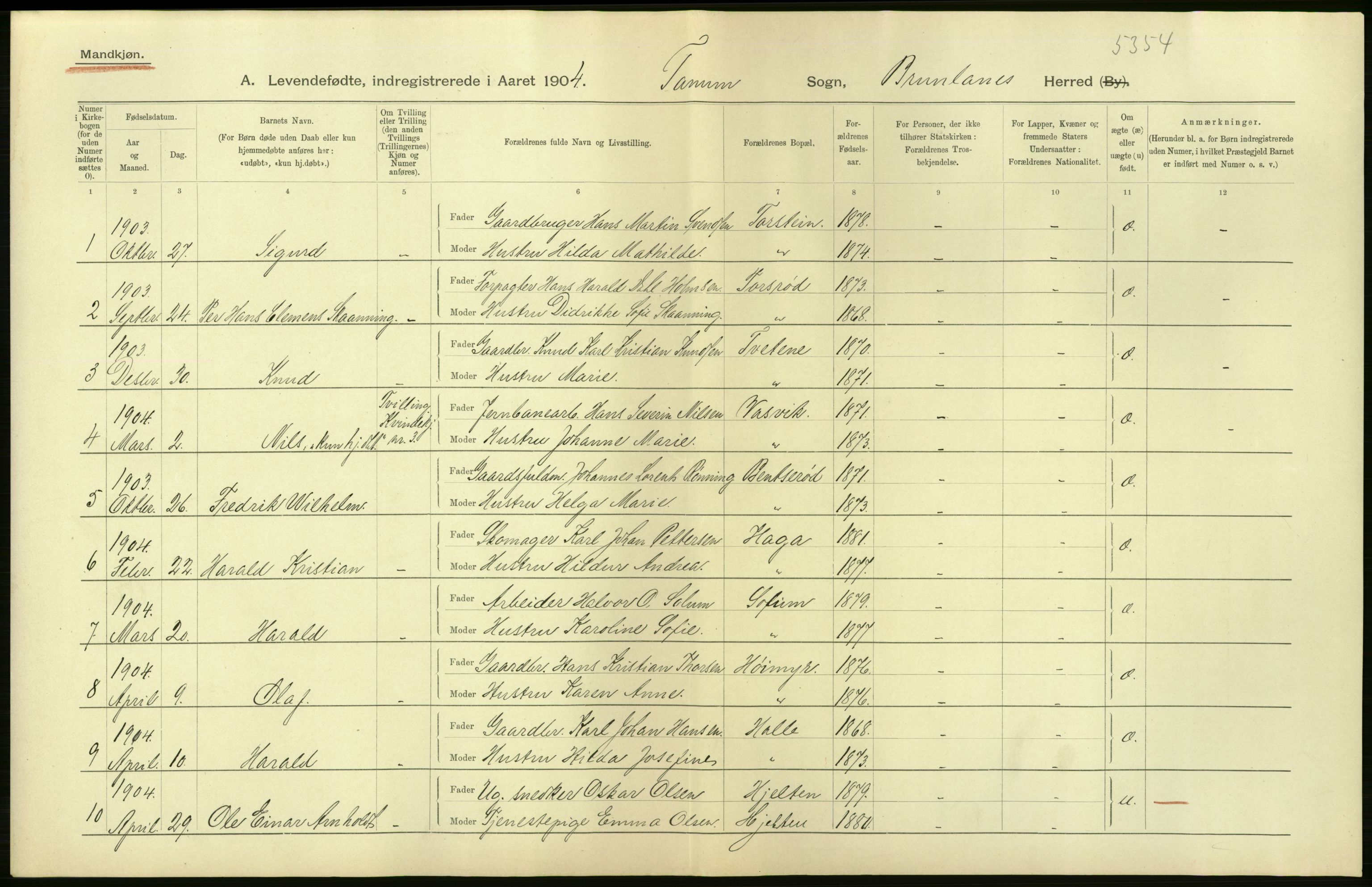 Statistisk sentralbyrå, Sosiodemografiske emner, Befolkning, AV/RA-S-2228/D/Df/Dfa/Dfab/L0008: Jarlsberg og Larvig amt: Fødte, gifte, døde, 1904, p. 26