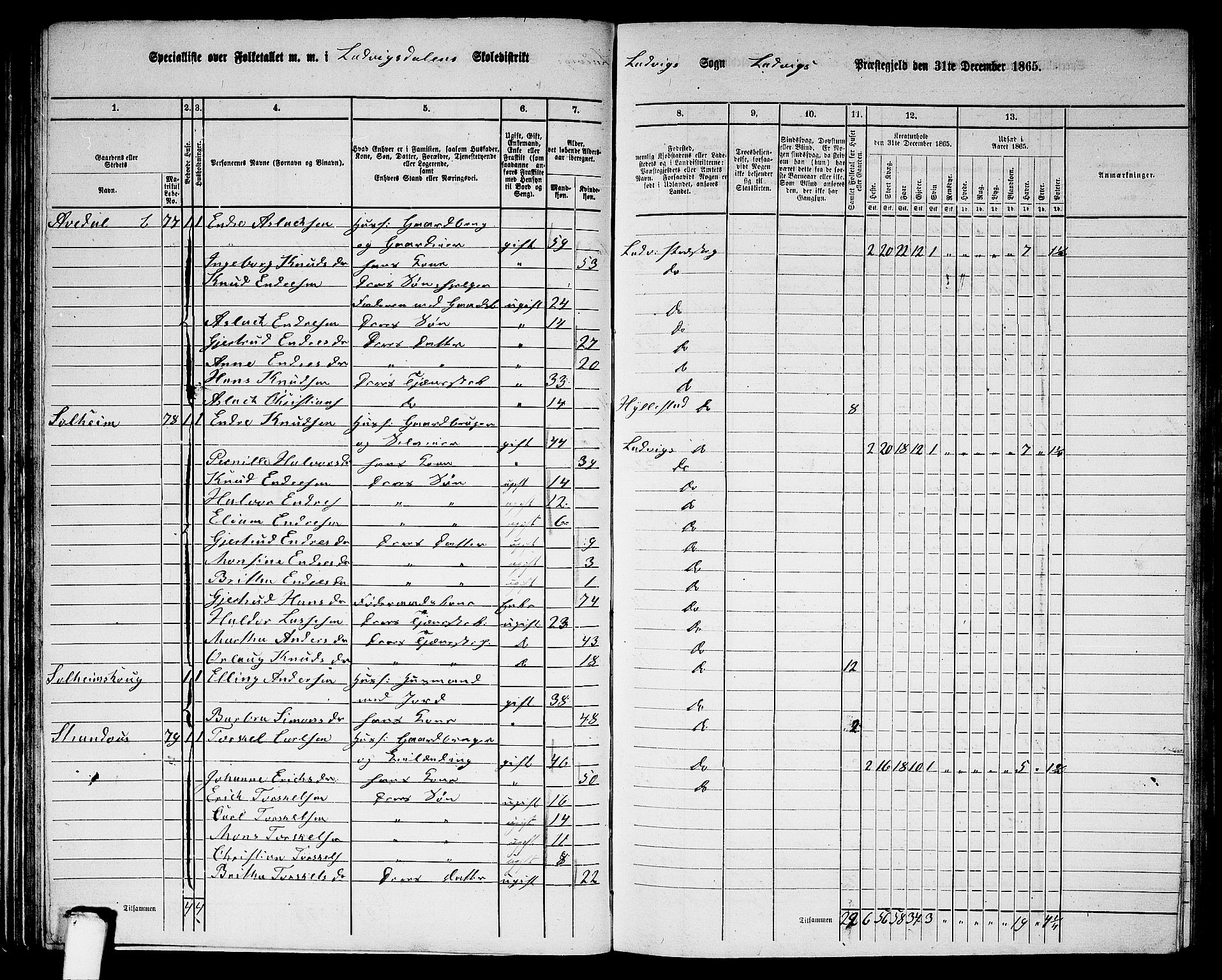 RA, 1865 census for Lavik, 1865, p. 63