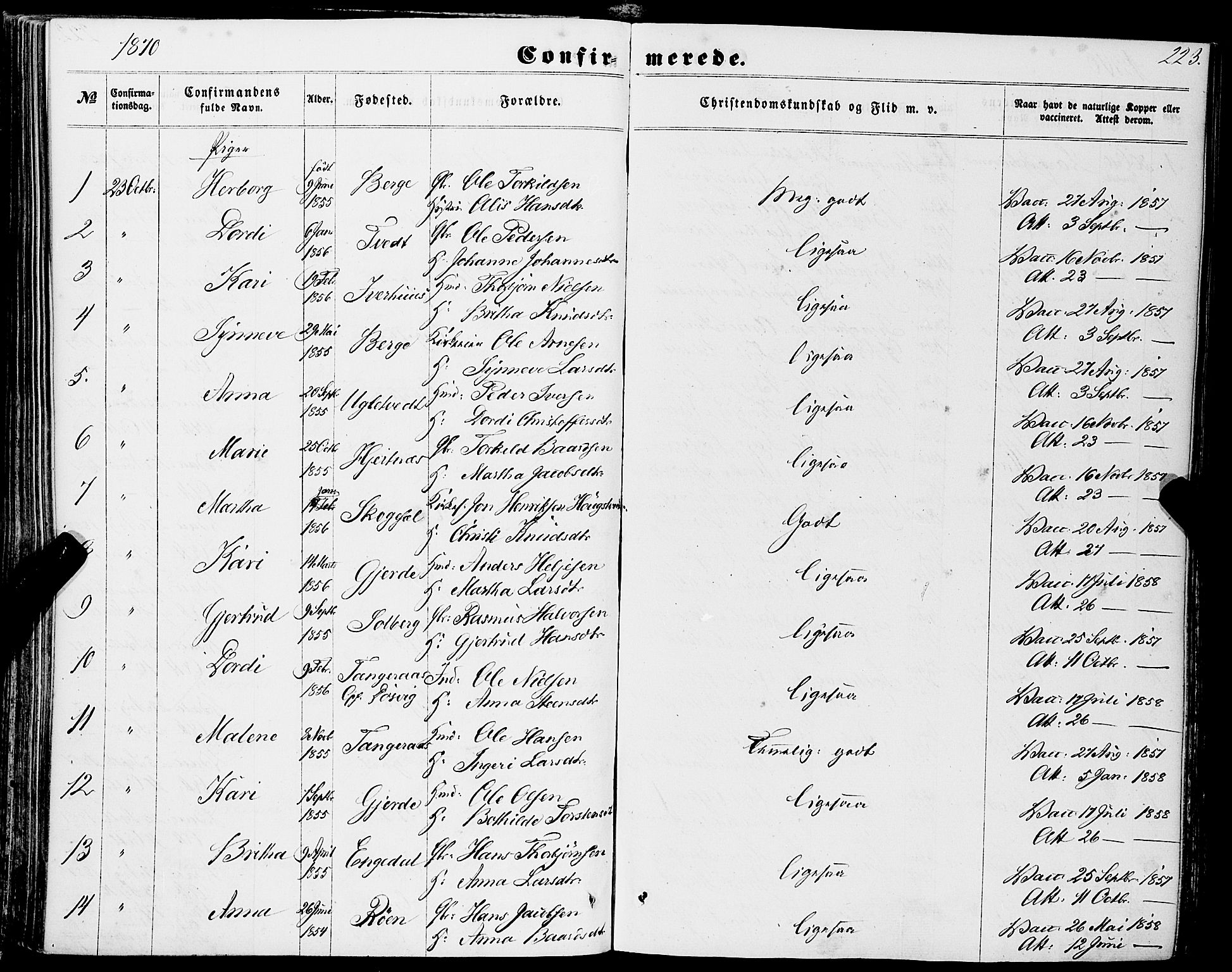 Strandebarm sokneprestembete, AV/SAB-A-78401/H/Haa: Parish register (official) no. A 8, 1858-1872, p. 223