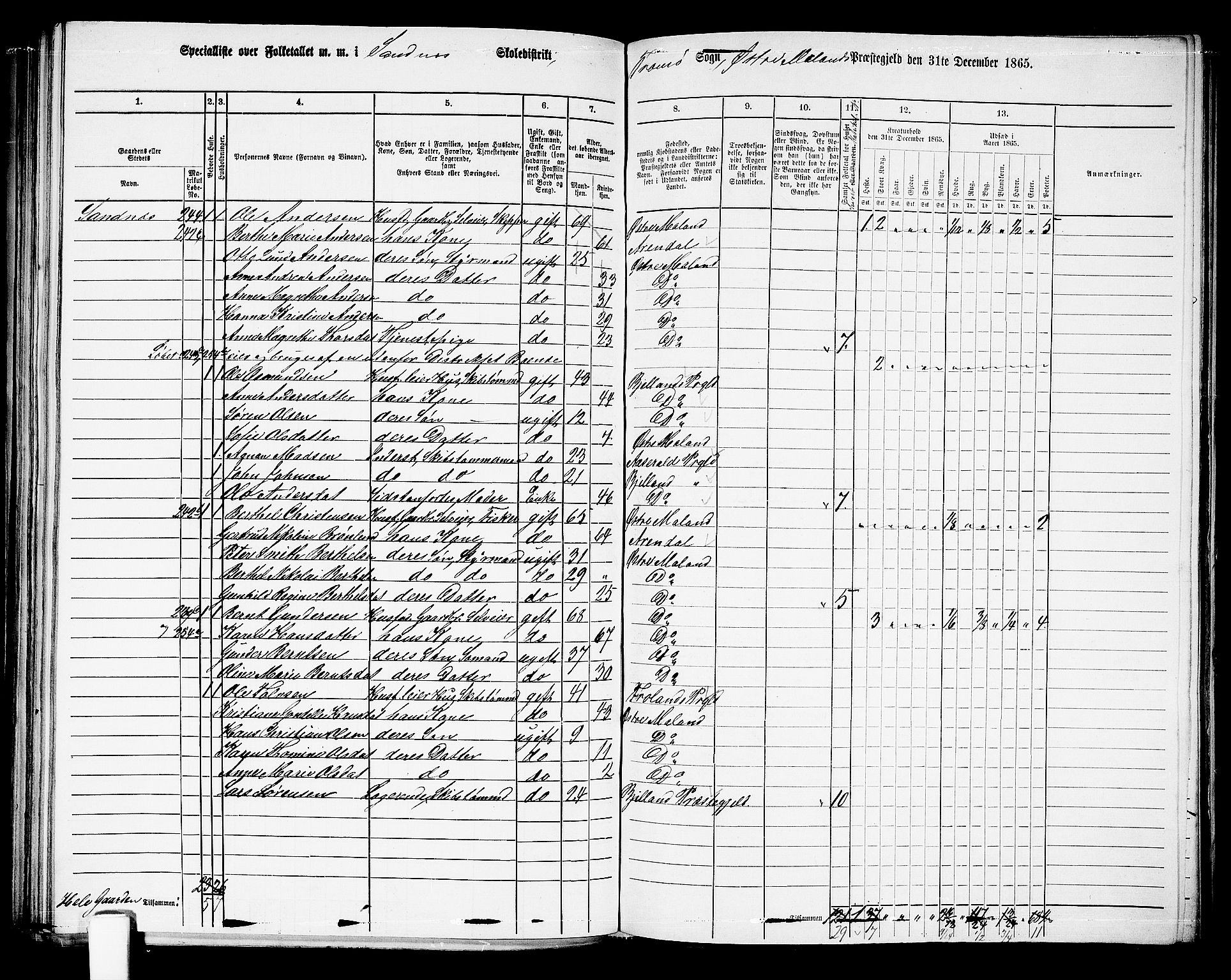 RA, 1865 census for Austre Moland, 1865, p. 214