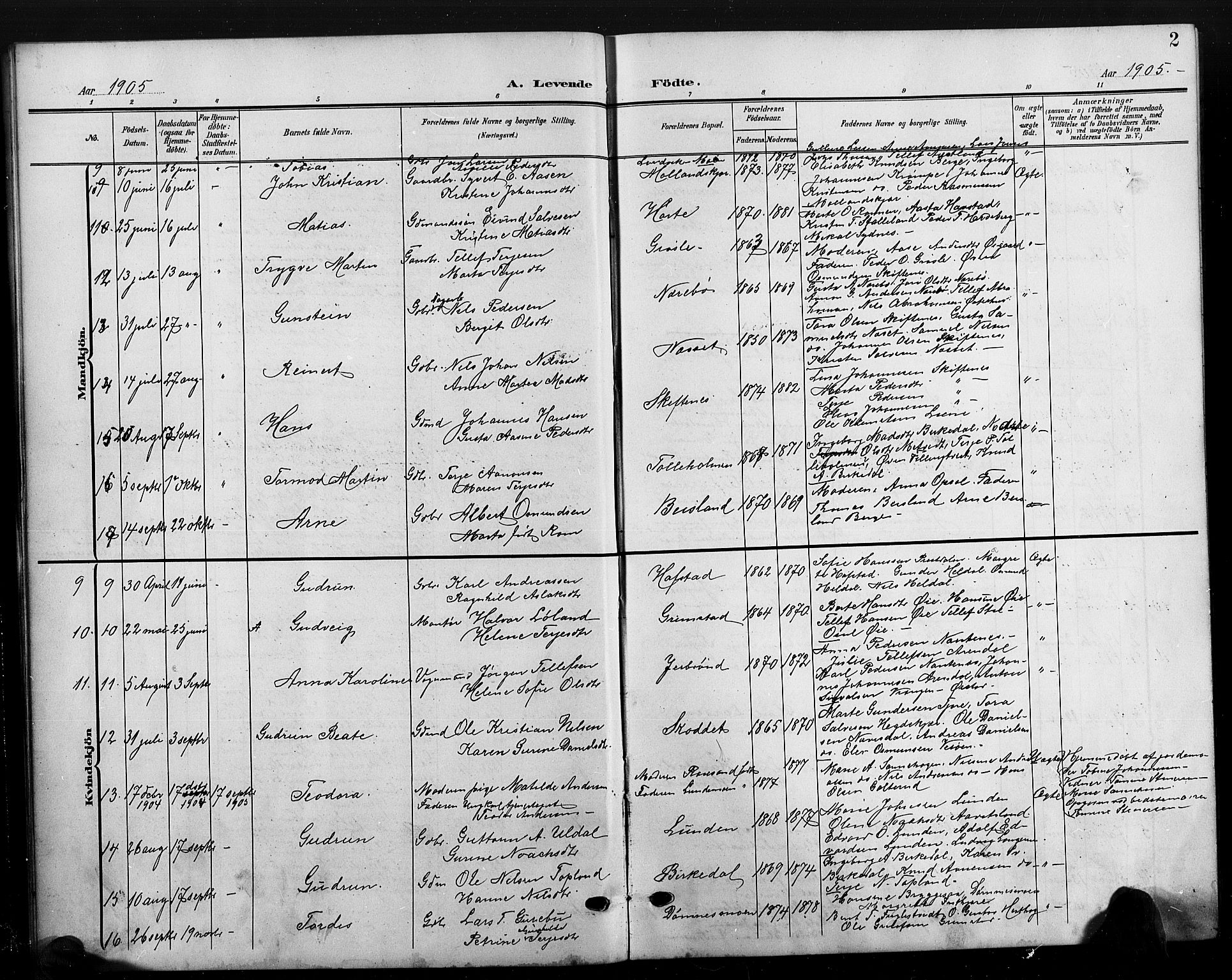 Hommedal sokneprestkontor, SAK/1111-0023/F/Fb/Fbb/L0008: Parish register (copy) no. B 8, 1905-1929, p. 2